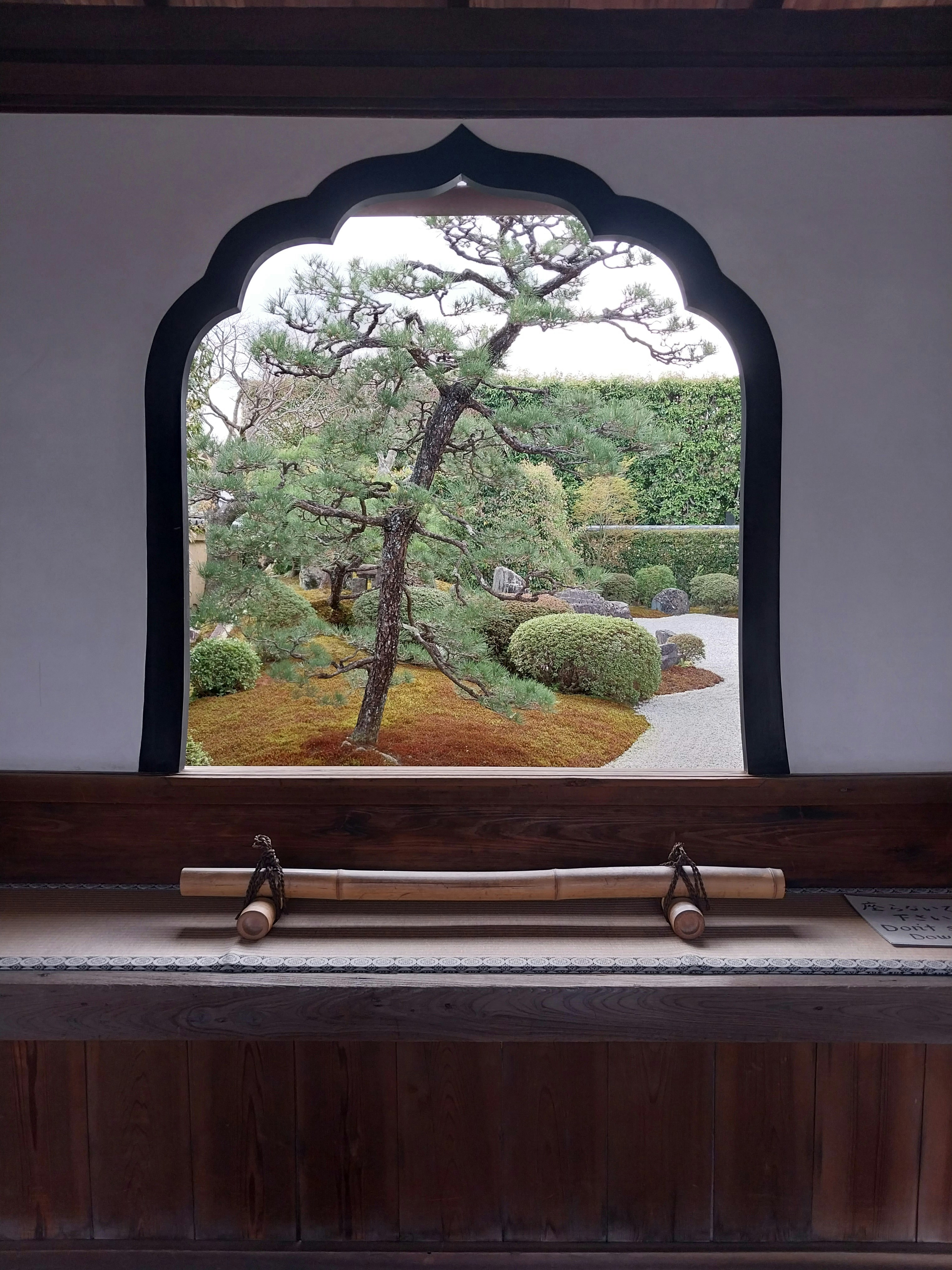 A view of a tree through a window photo – Free Tree Image on Unsplash