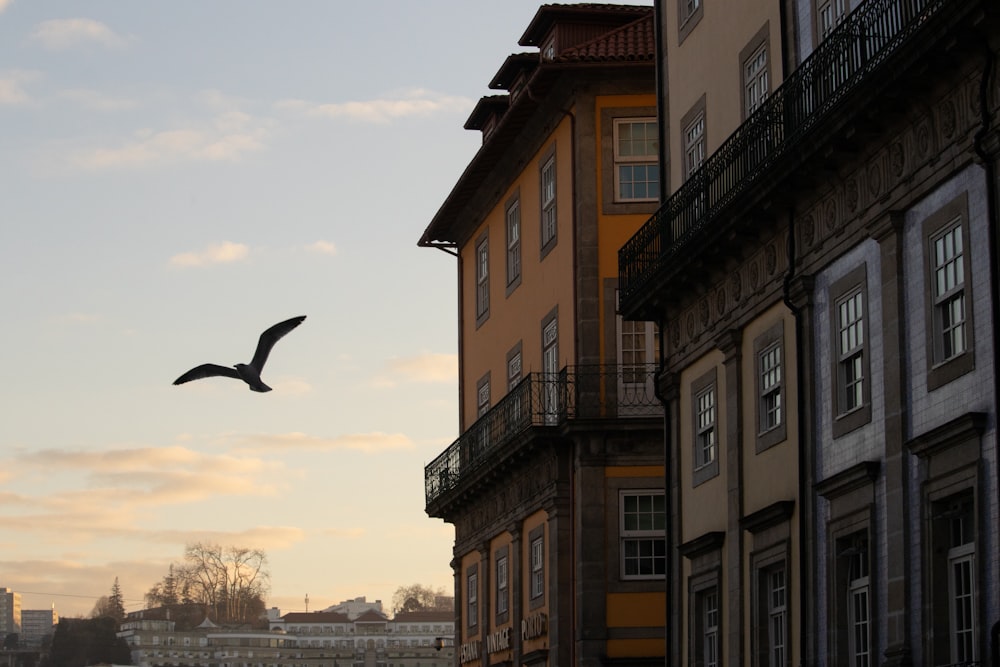 a bird flying in the sky over some buildings