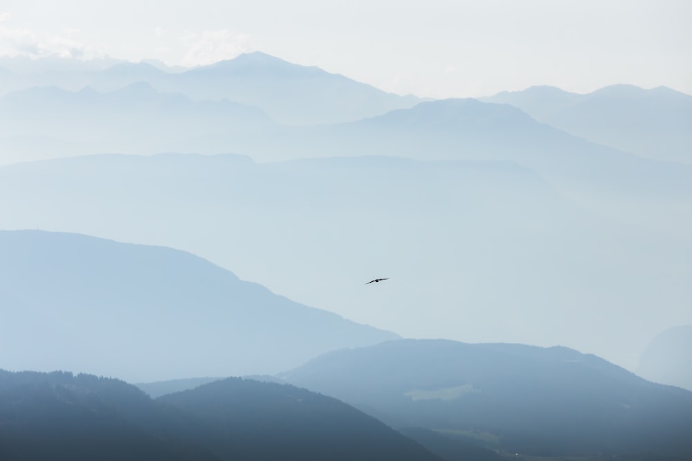 a large bird flying over a mountain range