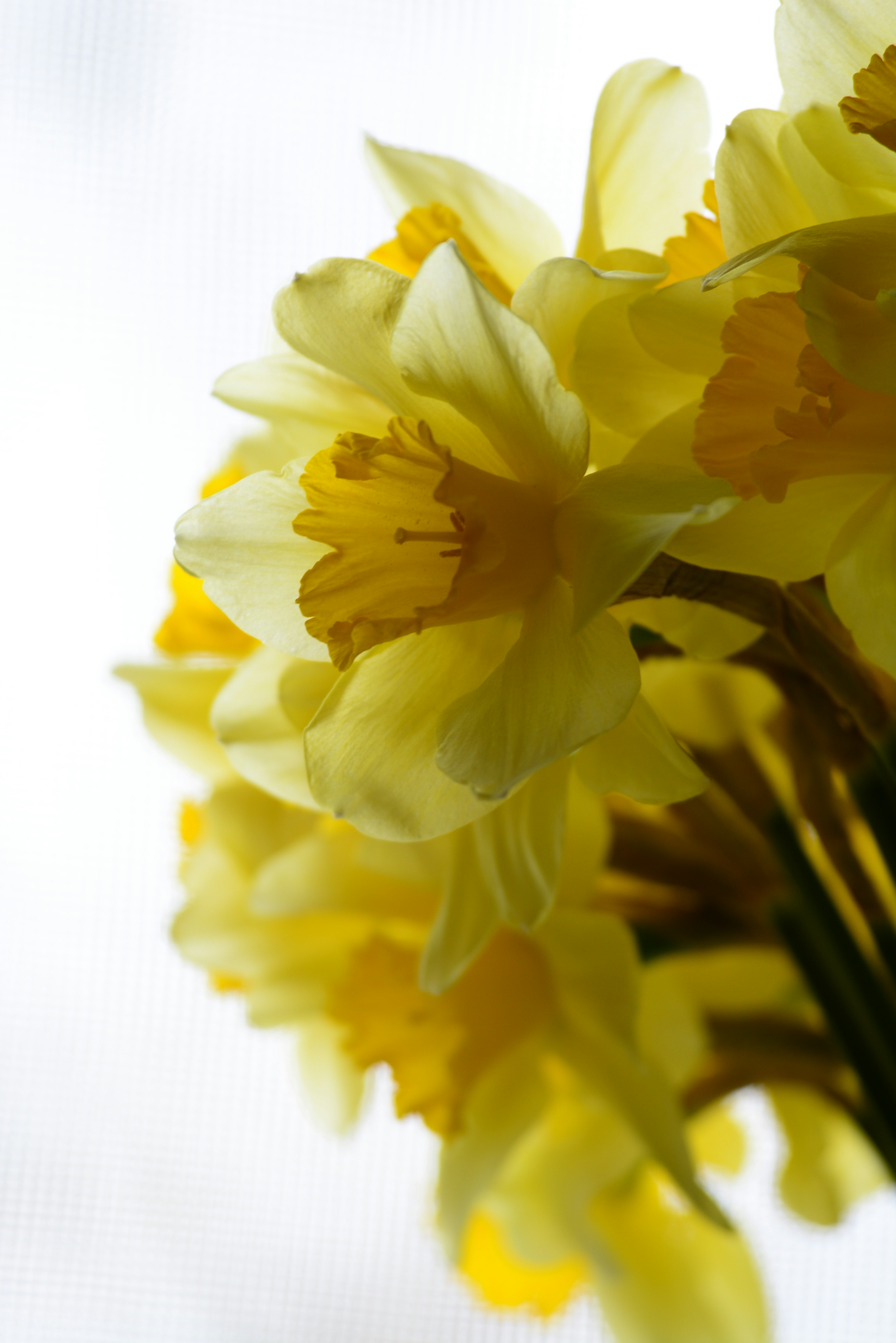 Photo by oblacko_oorta