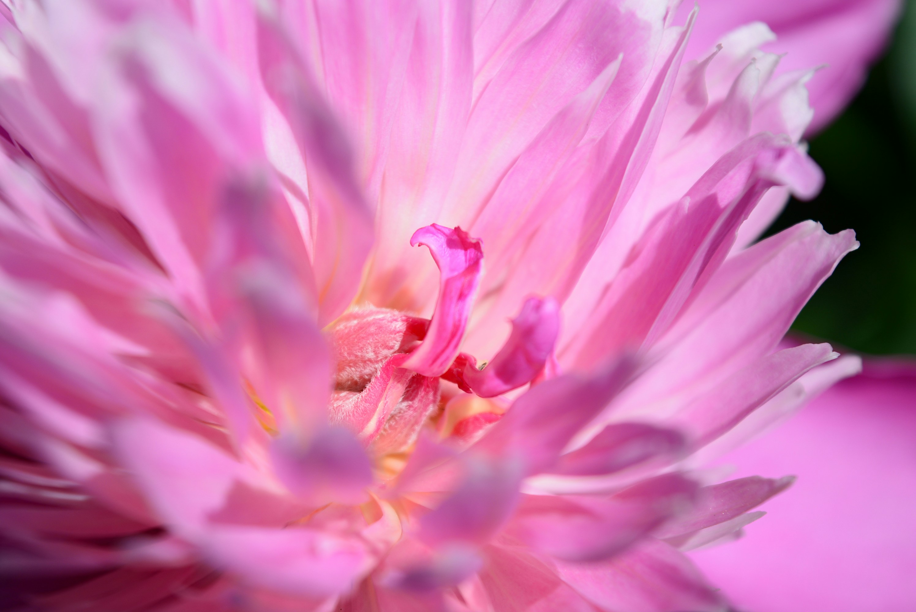 Photo by oblacko_oorta