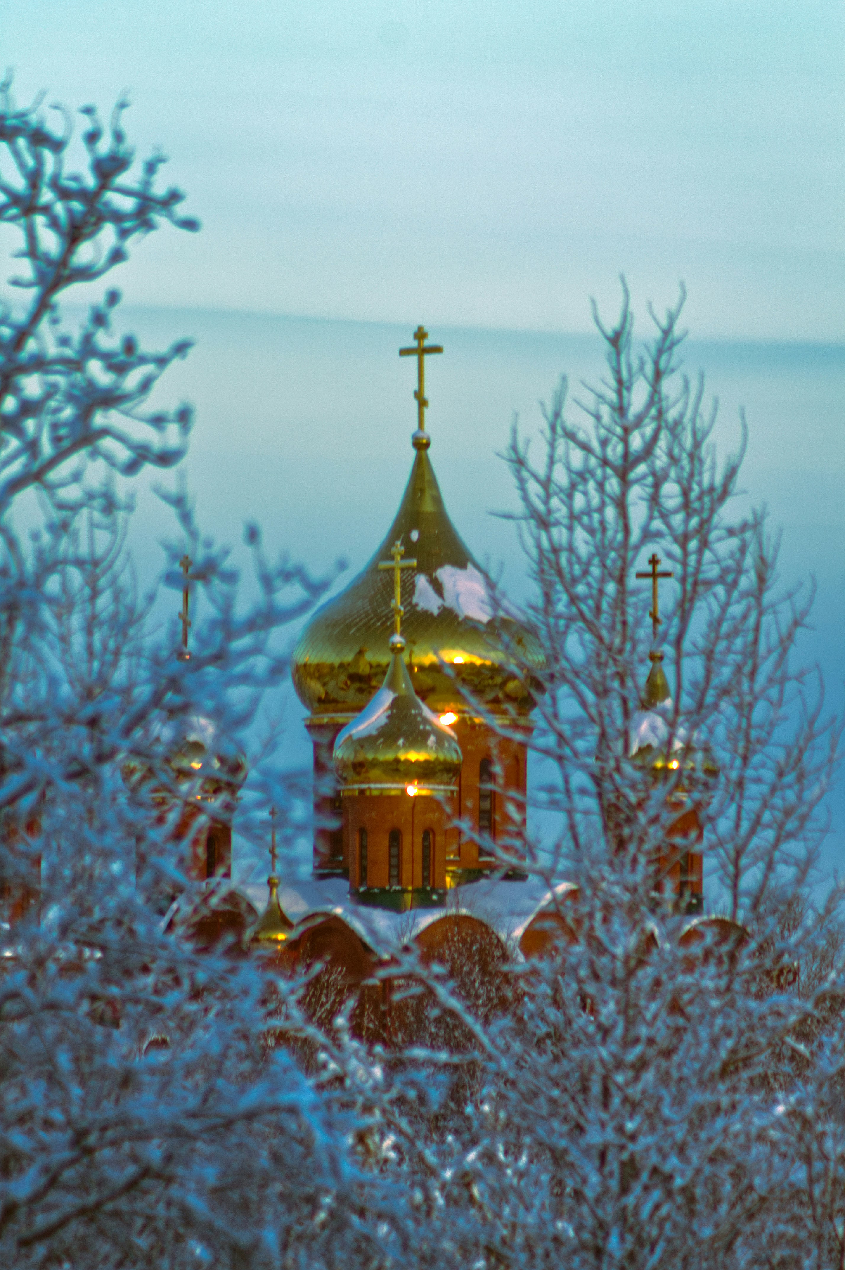 Photo by dragoncy635