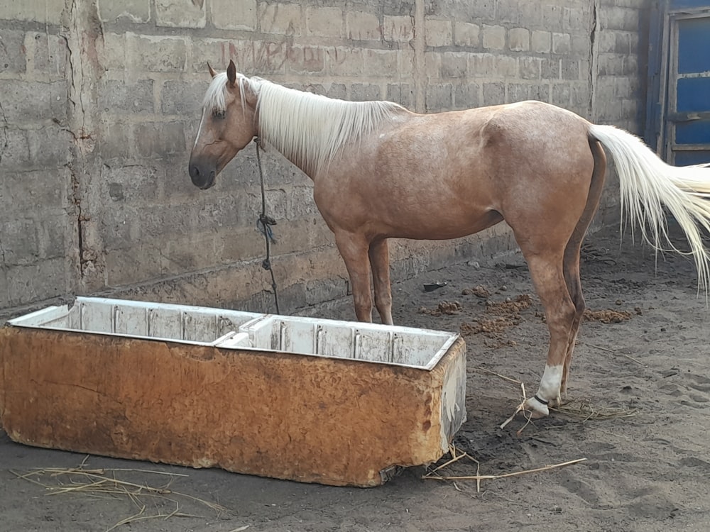 a brown horse standing next to a brick wall