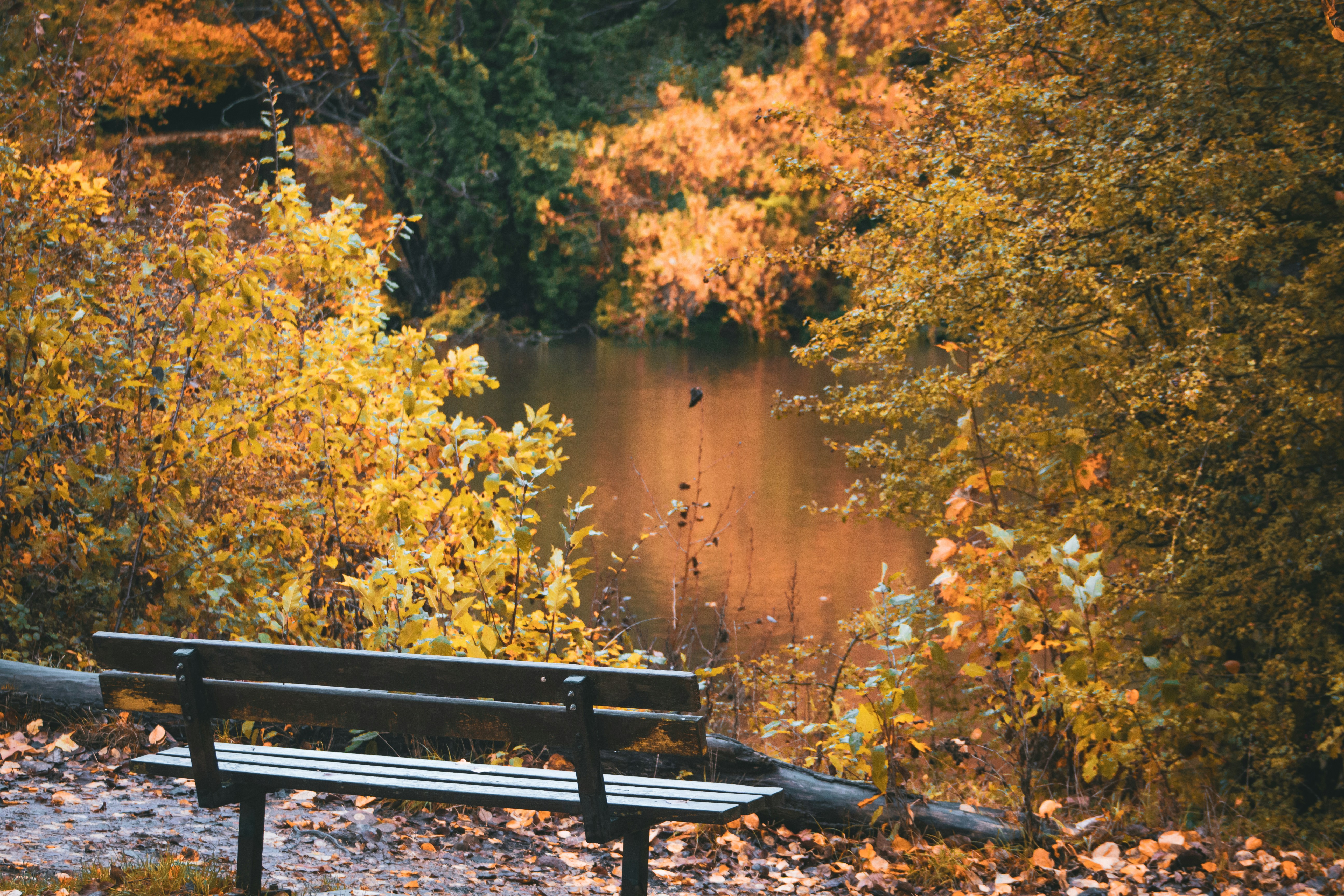 Photo by _priyank007_