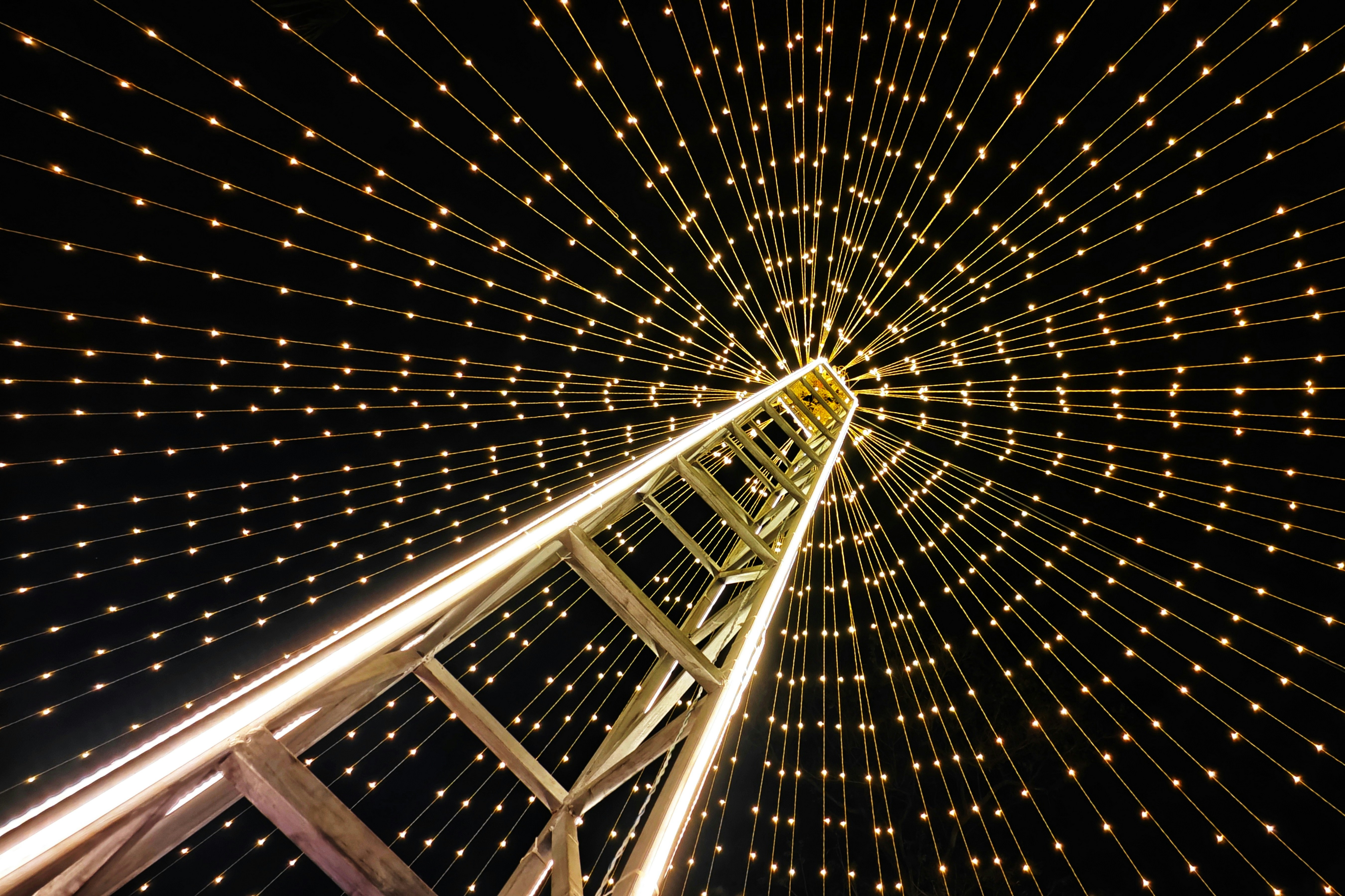 Photo by dibakar16roy