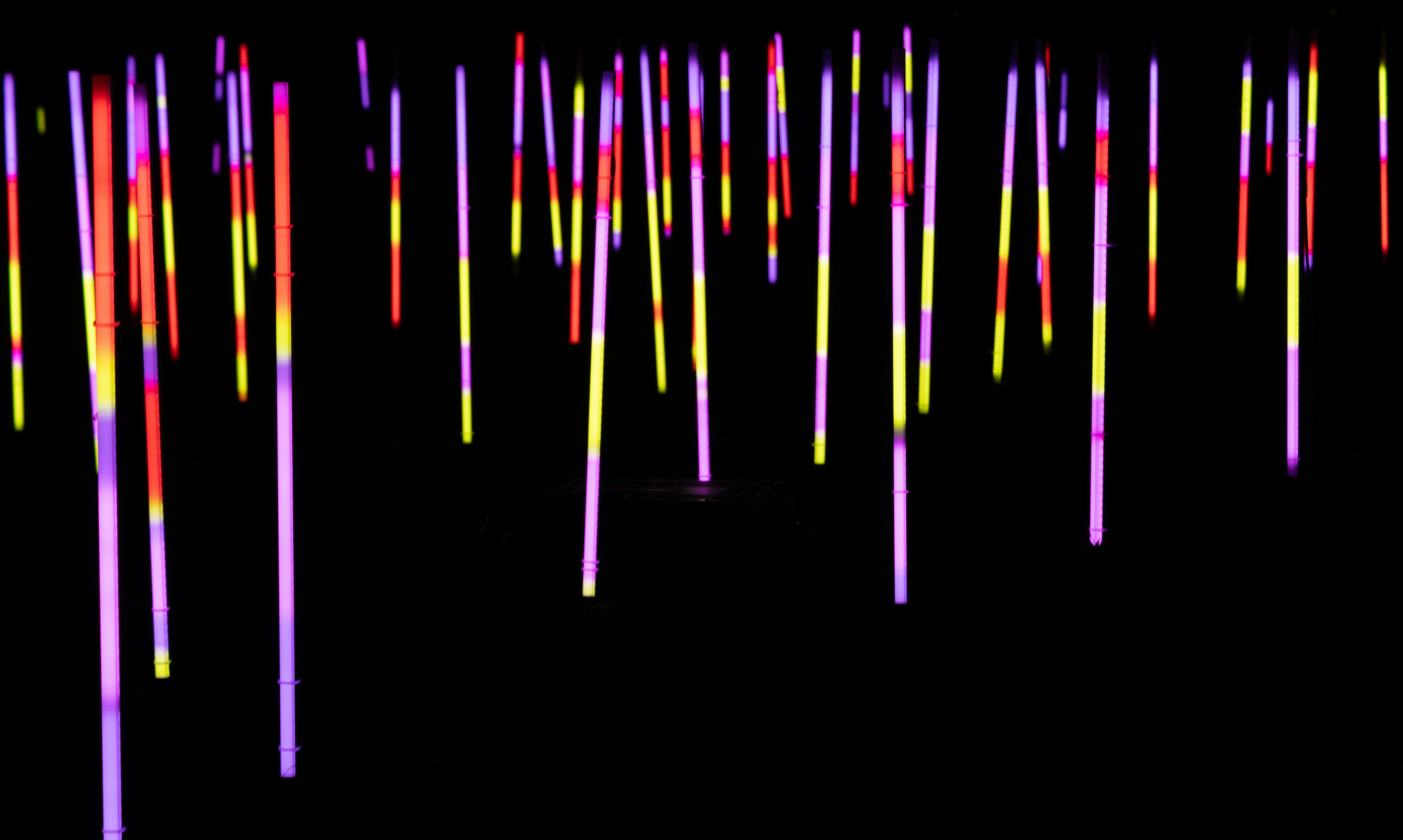 a black background with a lot of different colored lines