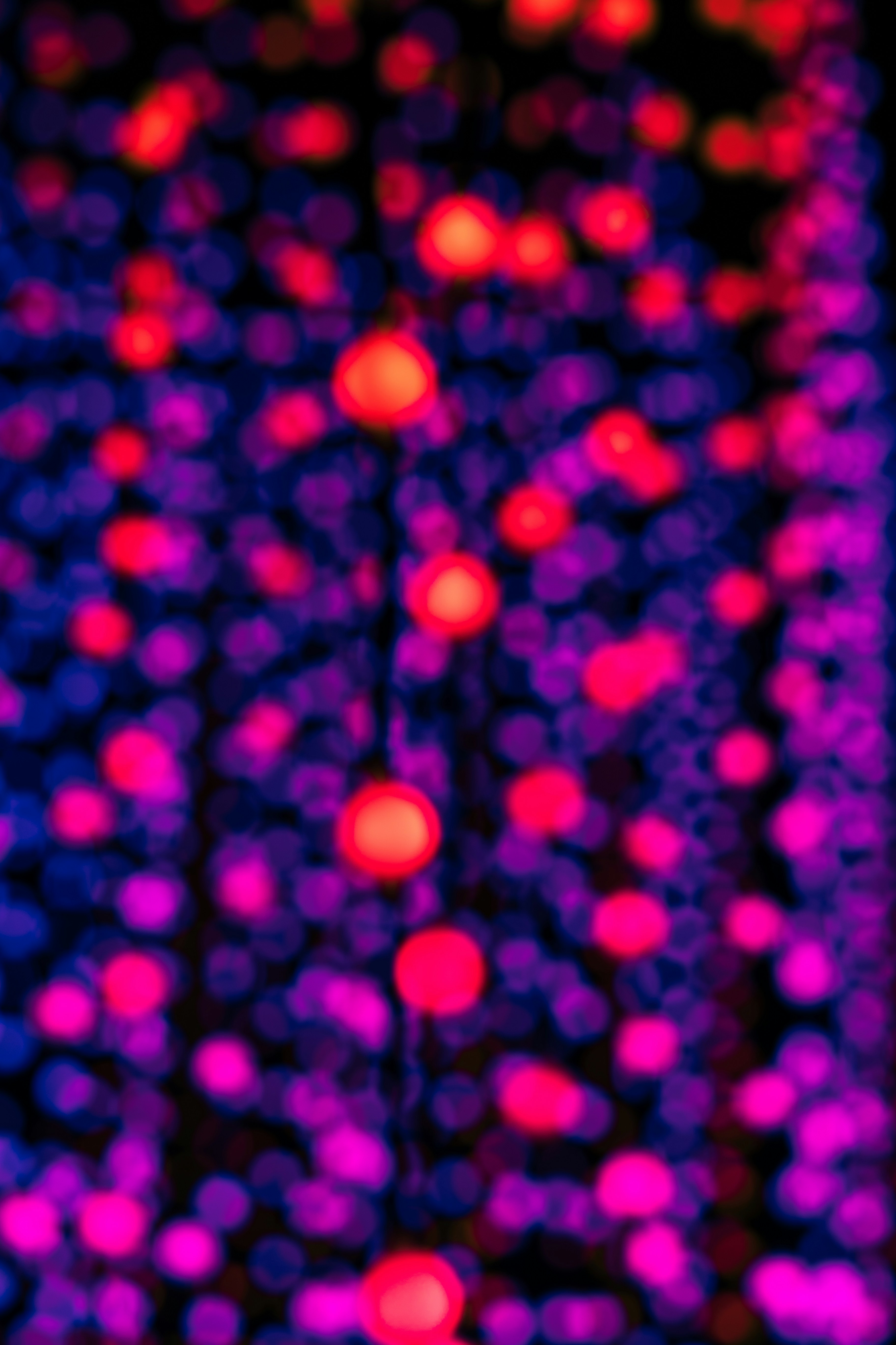 Photo by christian2205