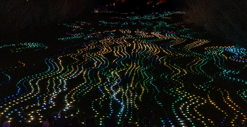Urban Lightscape