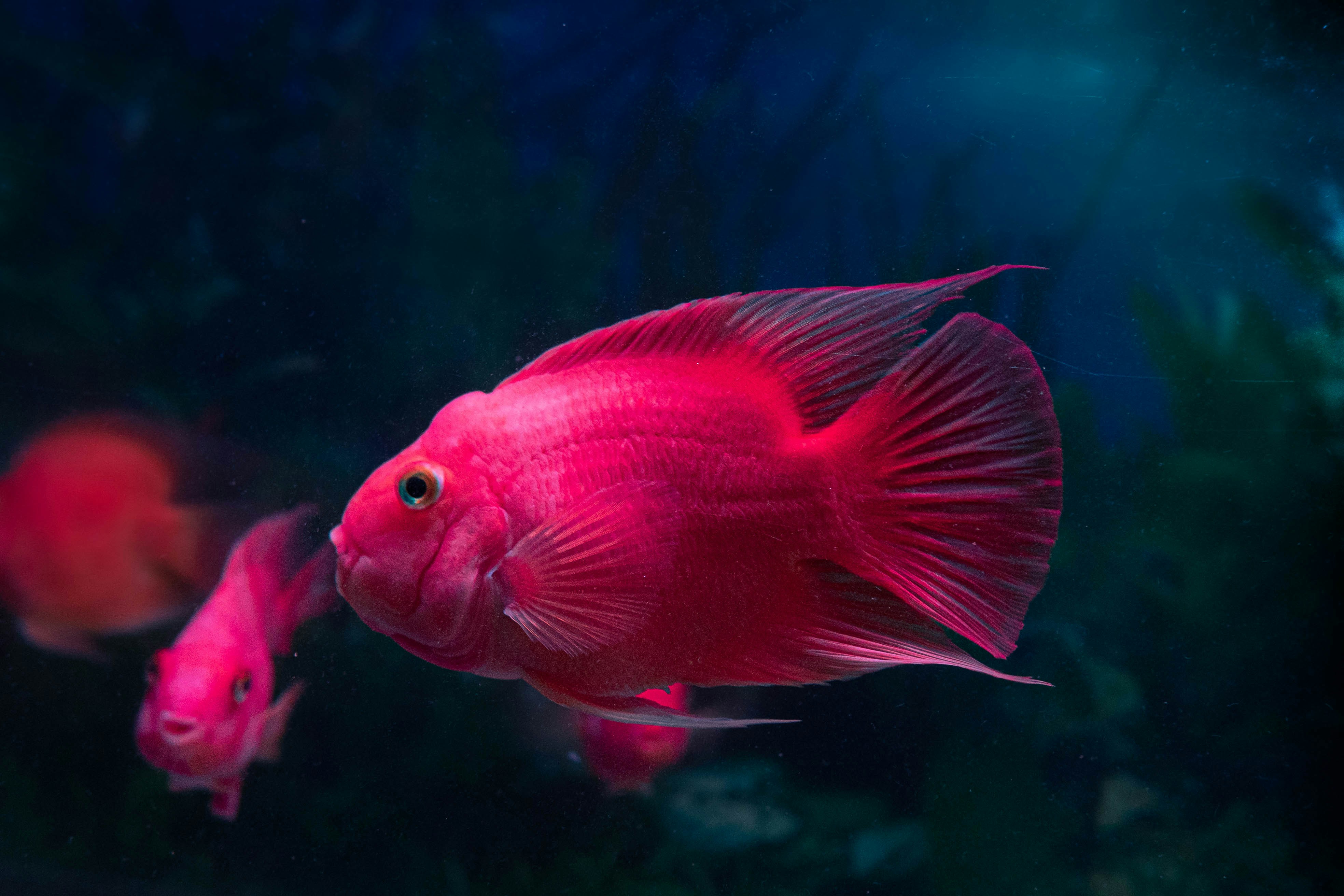 Photo by jesse_kayman