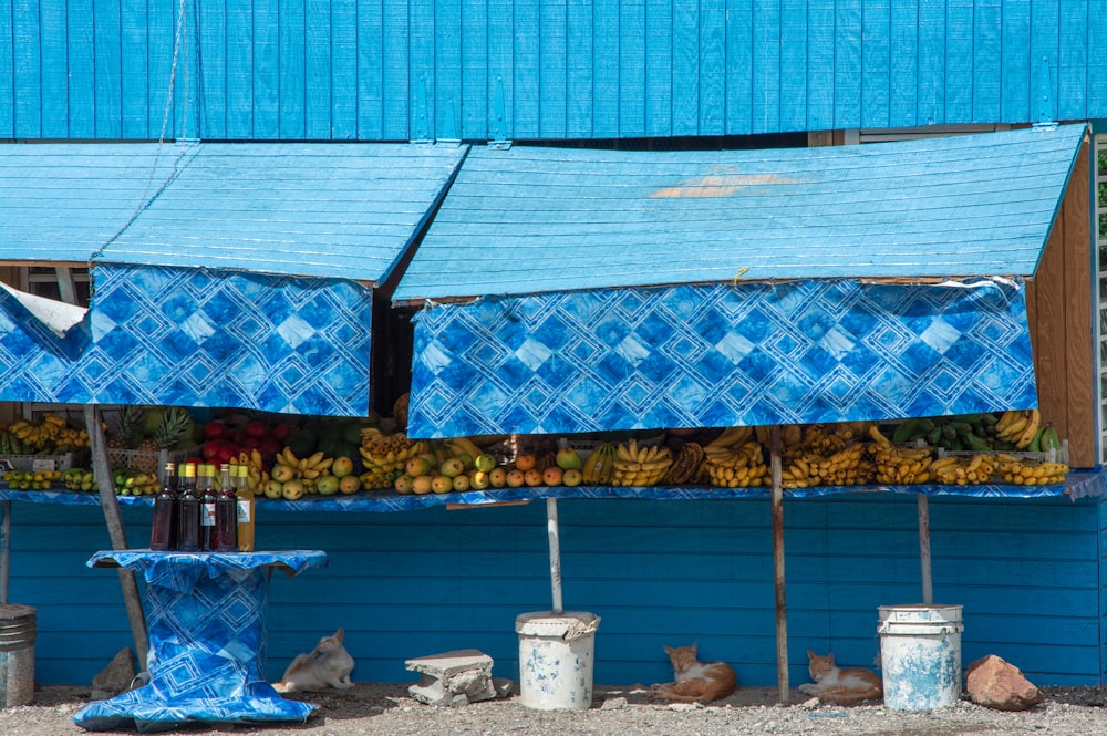 a blue building with a bunch of bananas on display