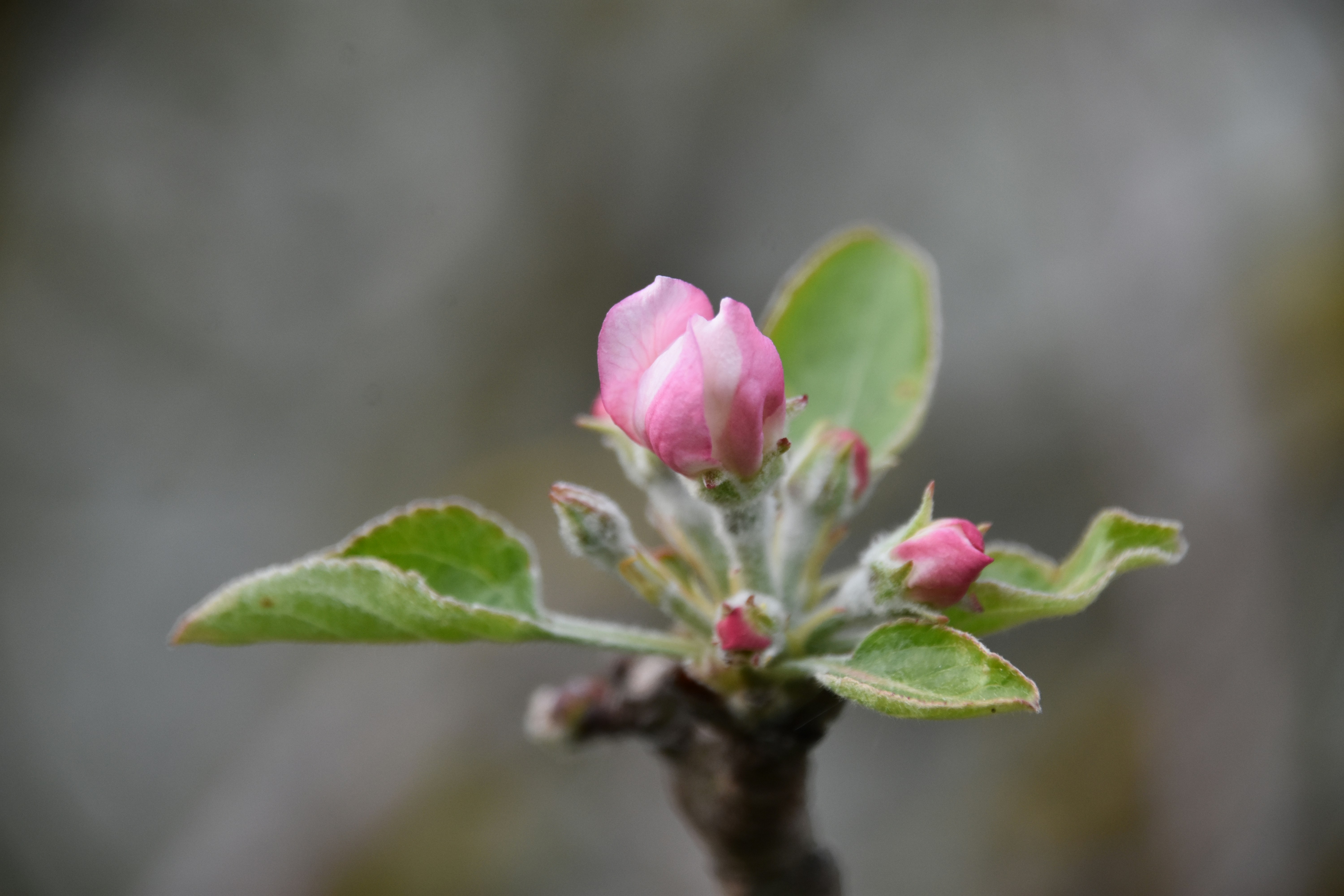 Photo by photographiesecade46