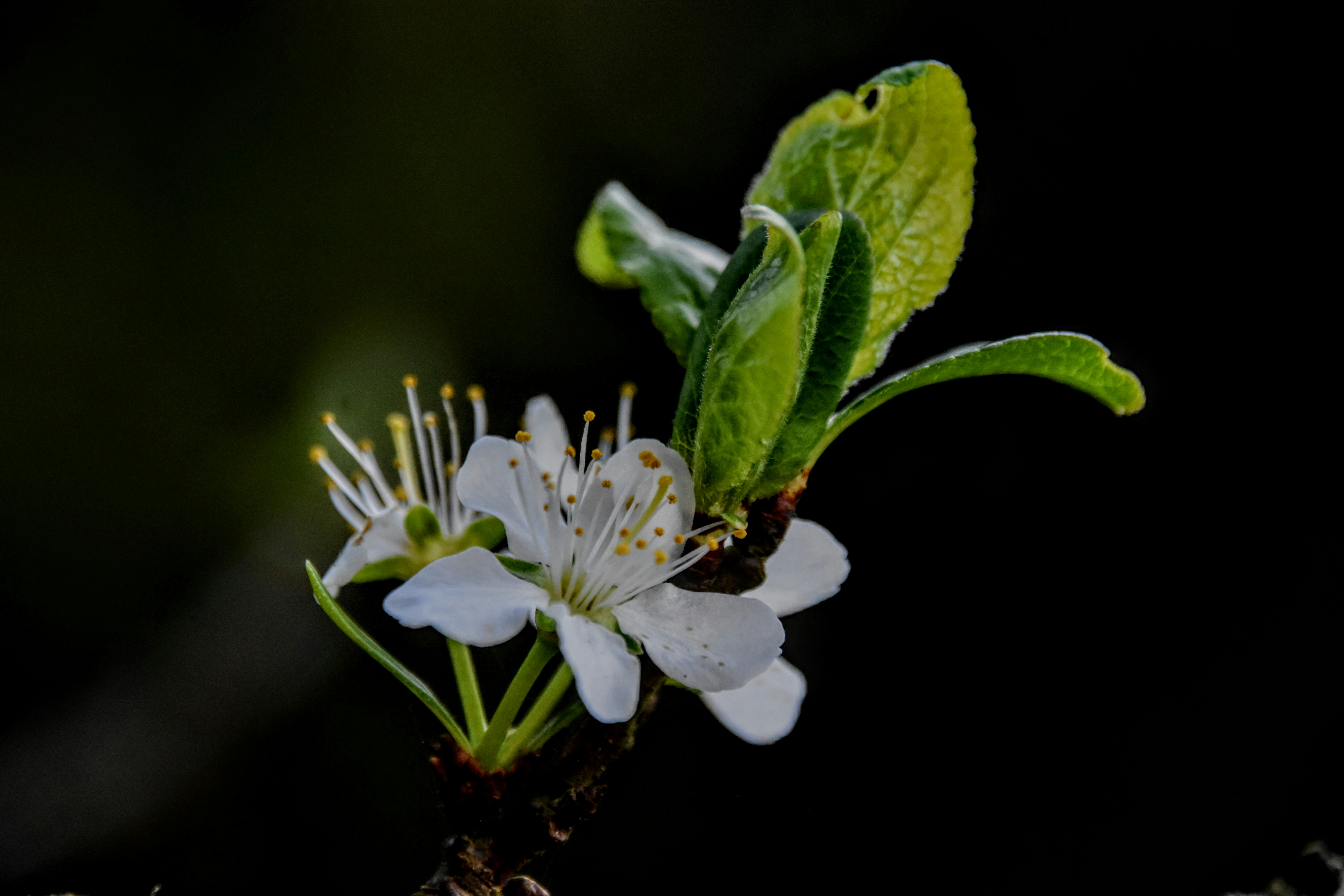 Photo by photographiesecade46