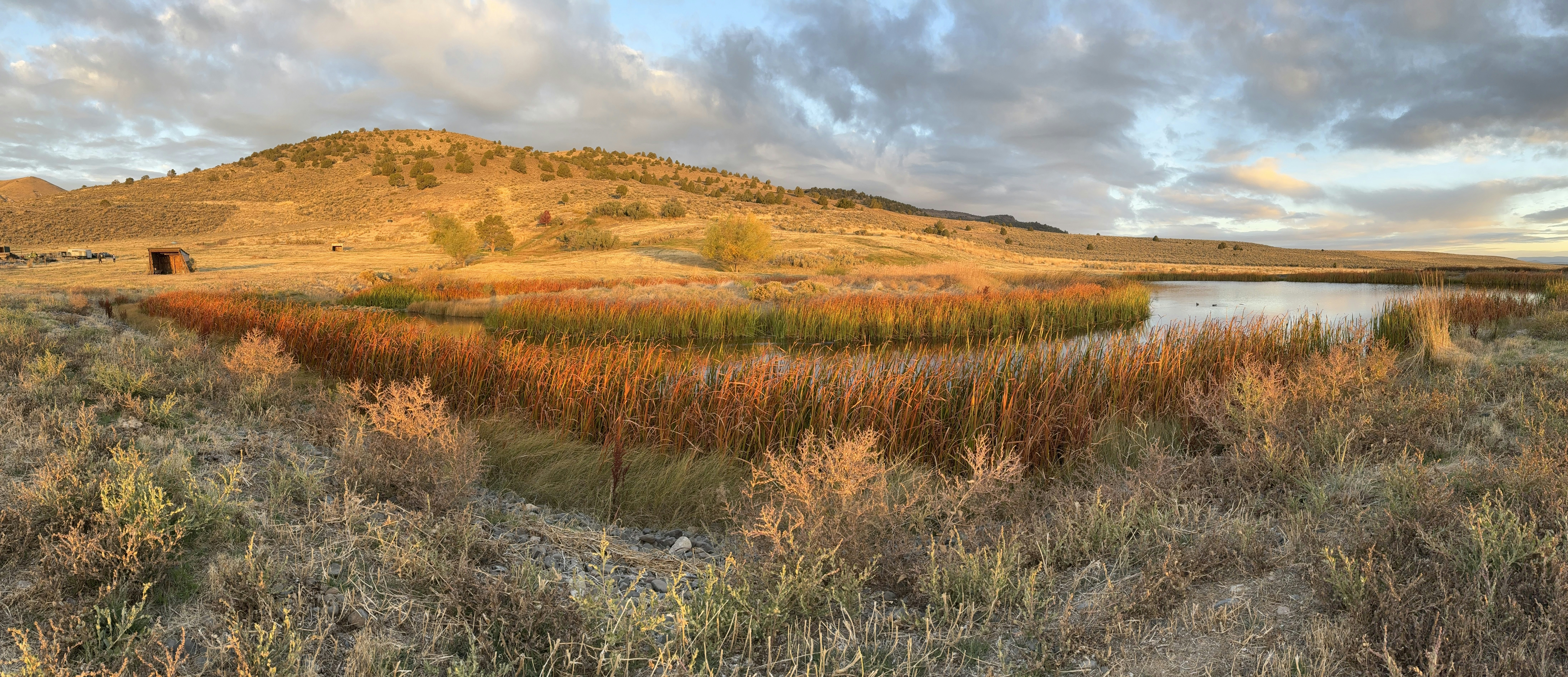 a field with a lake and a mountain in the background