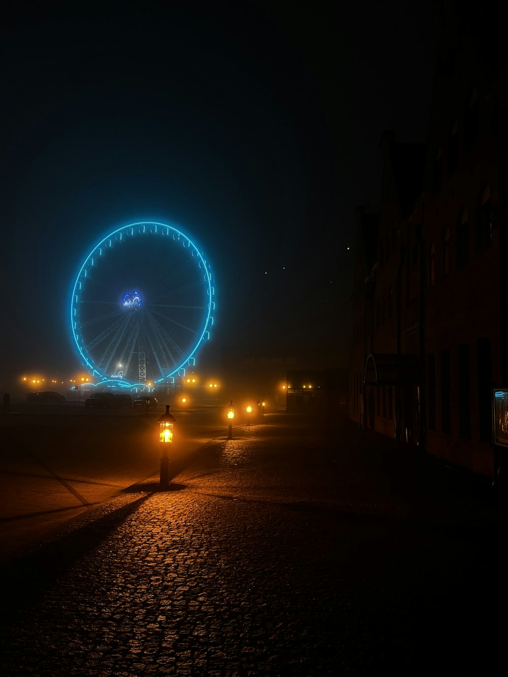 a ferris wheel lit up in the night sky