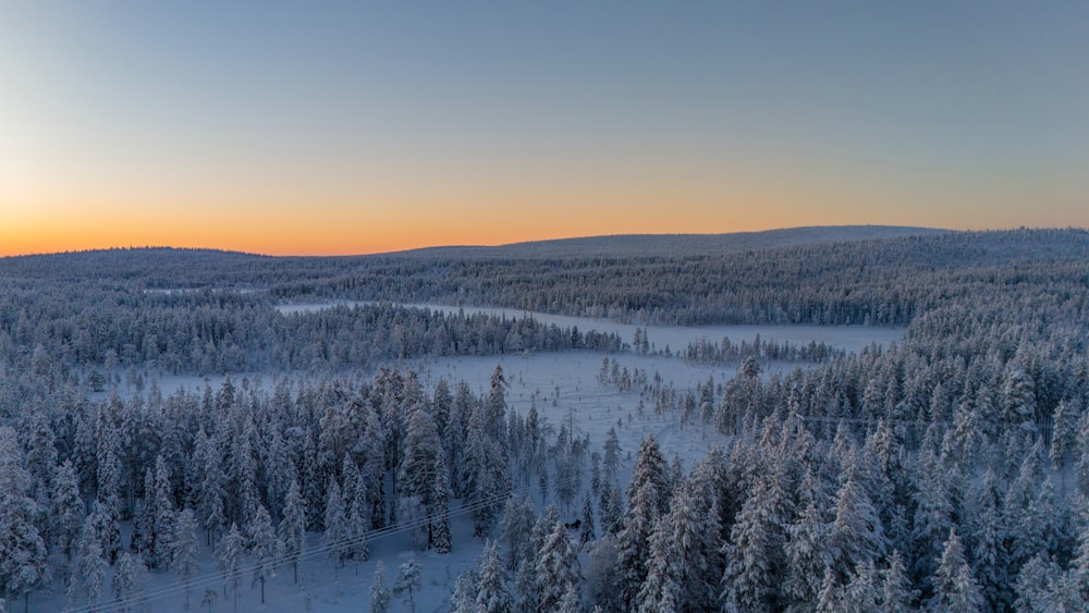 a snow covered forest with a sunset in the background
