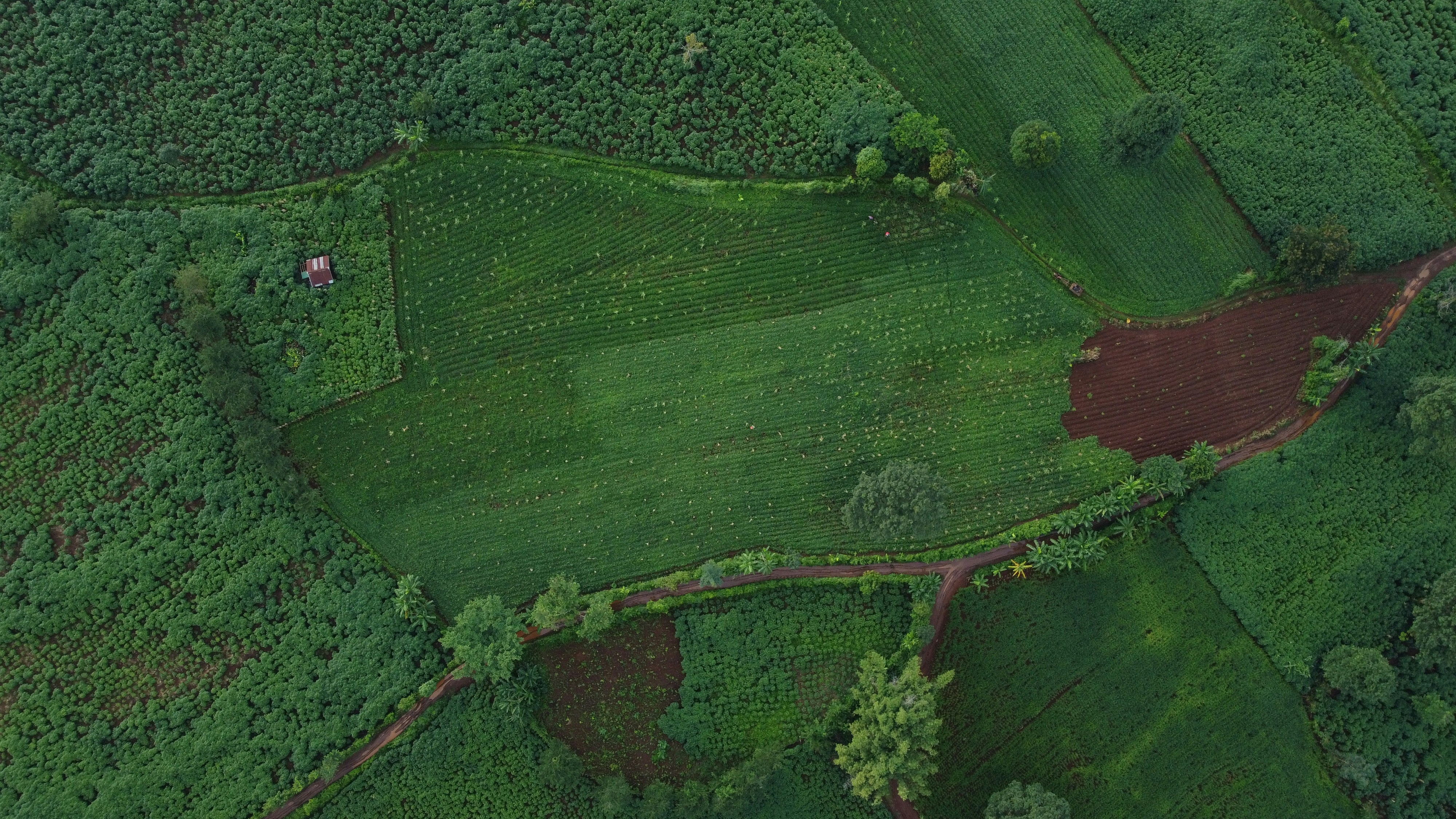 Photo by meklaymeklay