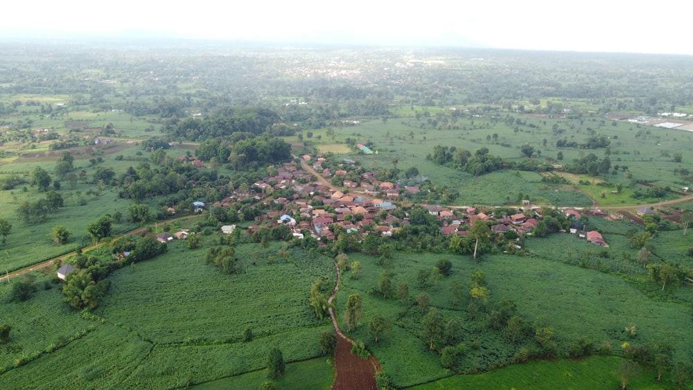 an aerial view of a village surrounded by trees