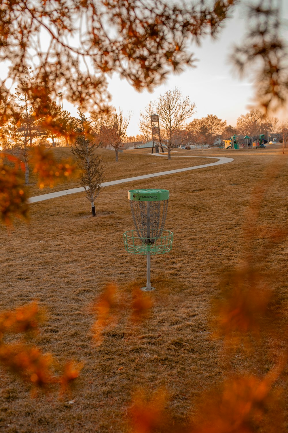 Ein Frisbee-Golftor in einem Park mit einem Baum im Hintergrund