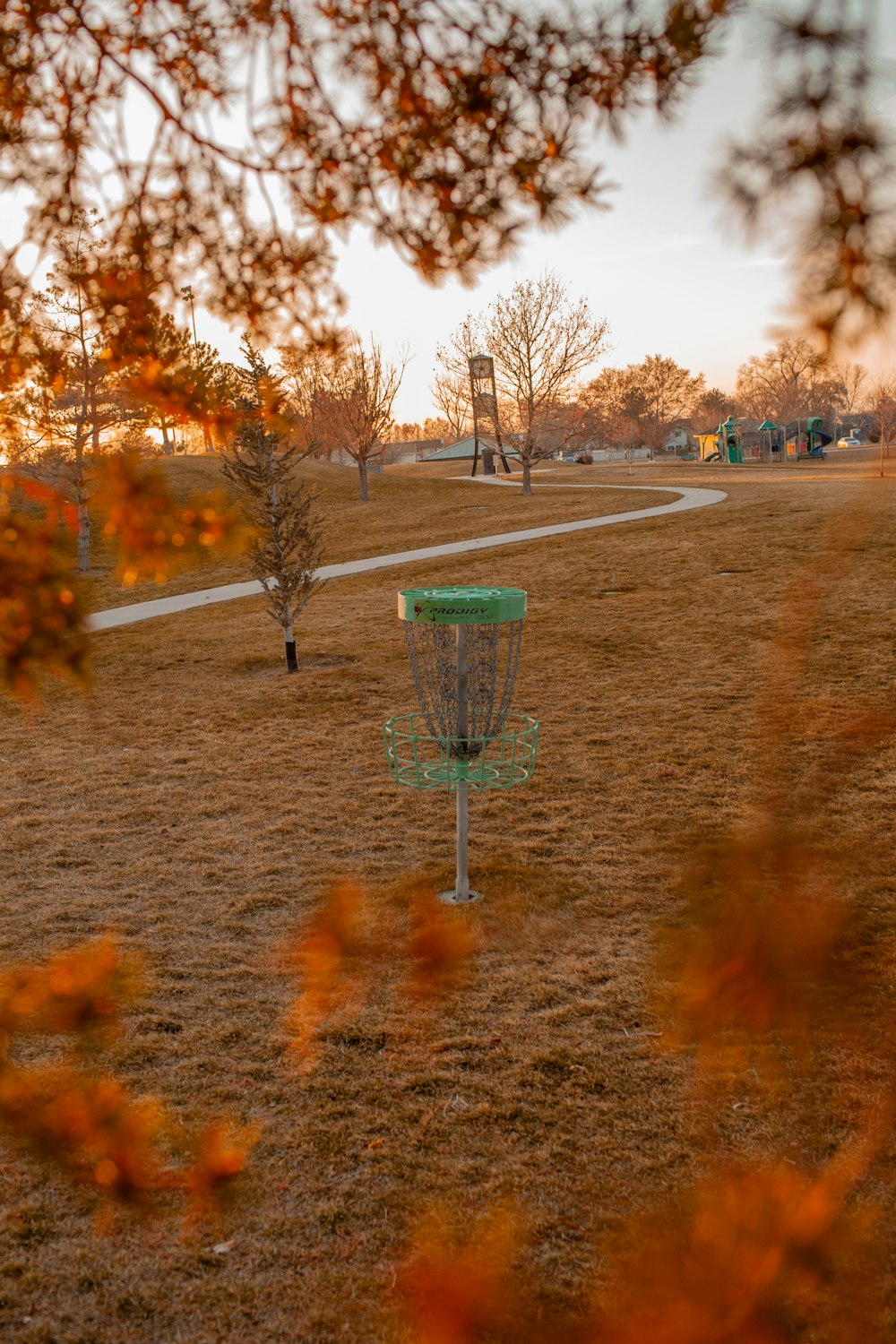 Una porta da golf di frisbee in un parco con un albero sullo sfondo