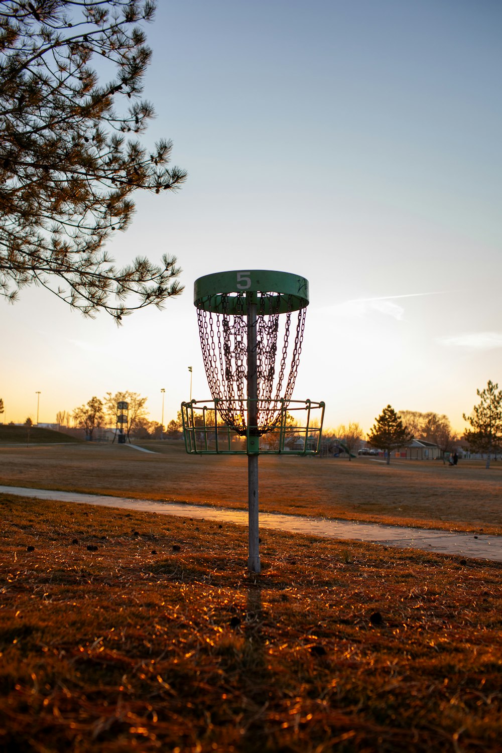 a frisbee golf hole in the middle of a field