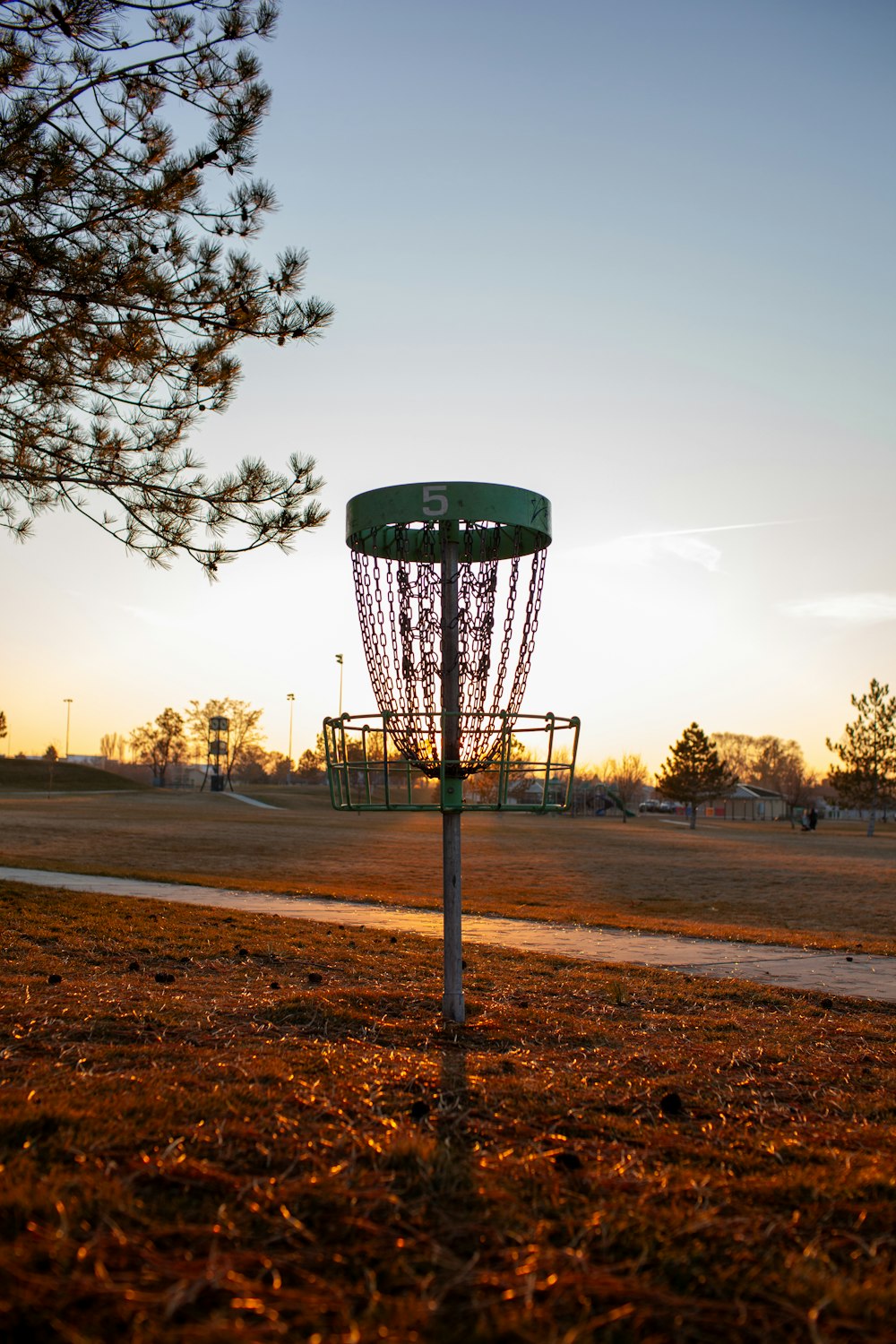 ein Frisbee-Golfloch mitten auf einem Feld