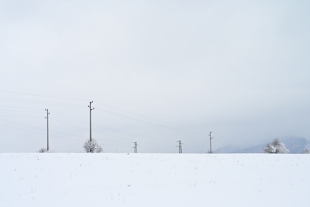 遠くに送電線が伸びる雪原