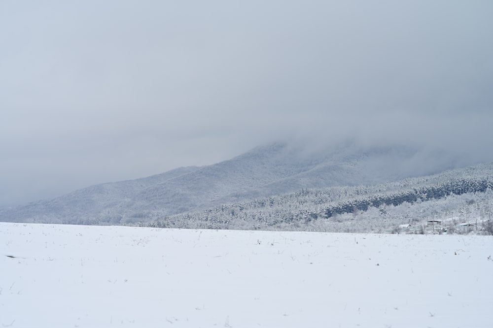 a snow covered field with a mountain in the background