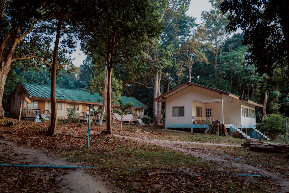 a couple of houses sitting in the middle of a forest