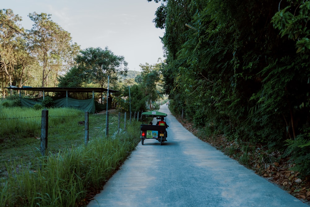 a person riding a scooter down a road next to a forest