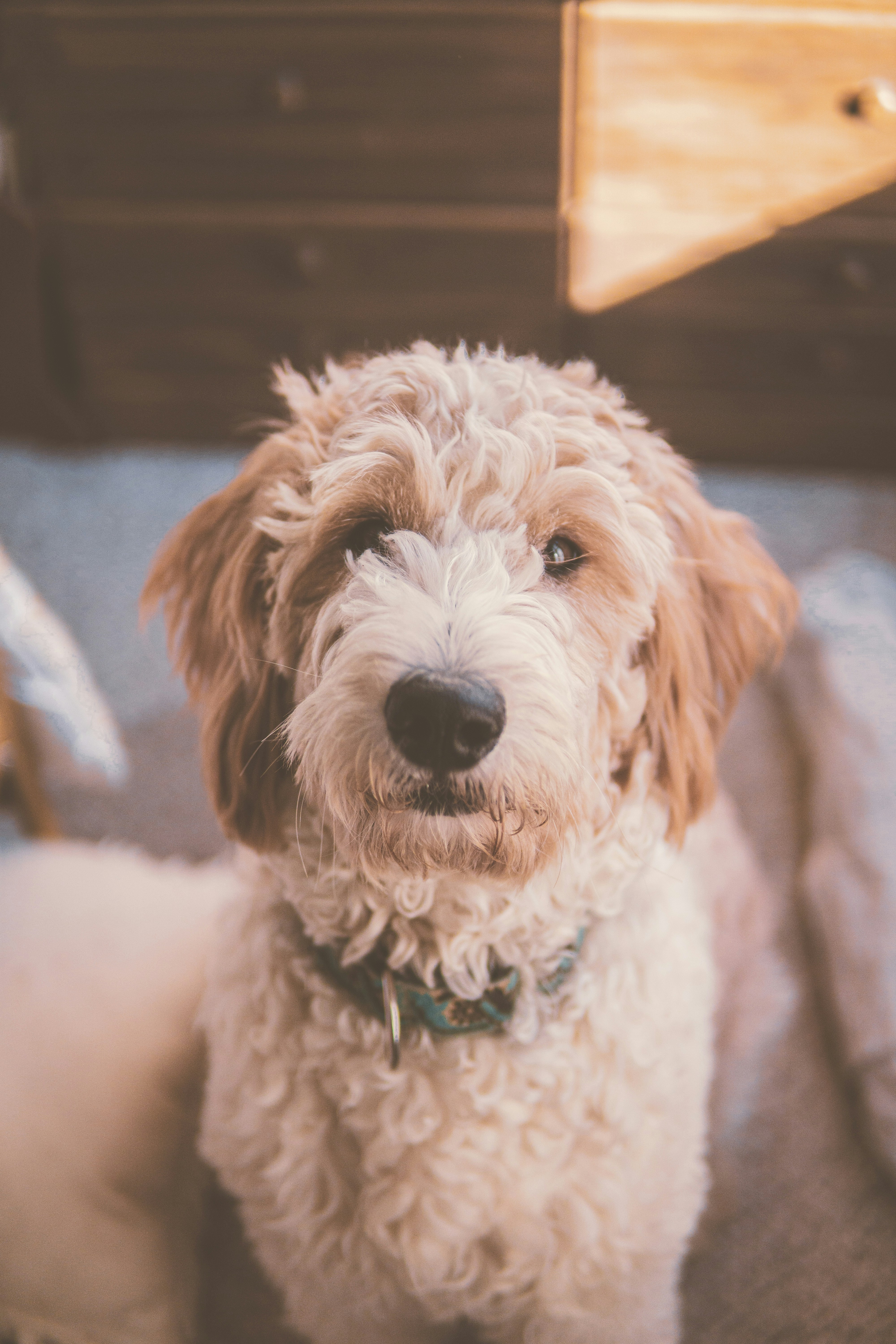 Photo by keepitchassephotography