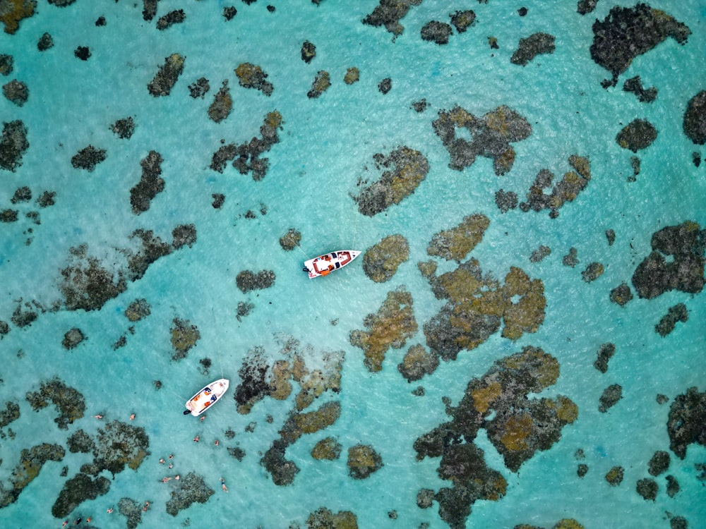 dois pequenos barcos flutuando em cima de um corpo de água