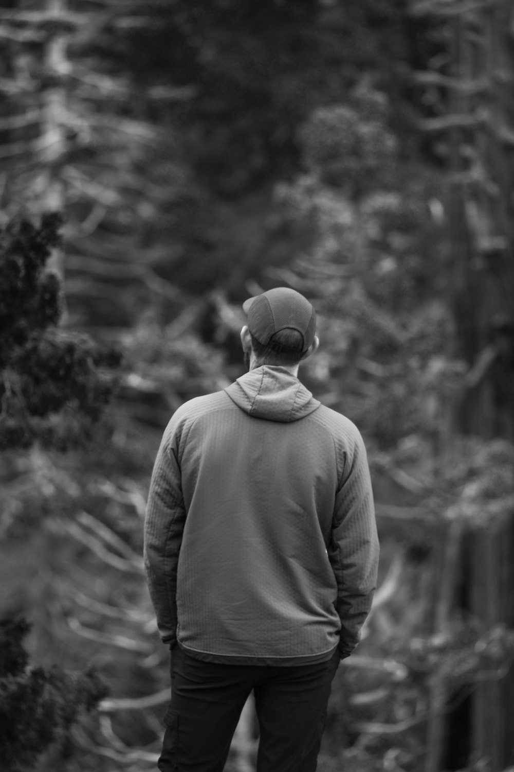 a man standing in front of a forest