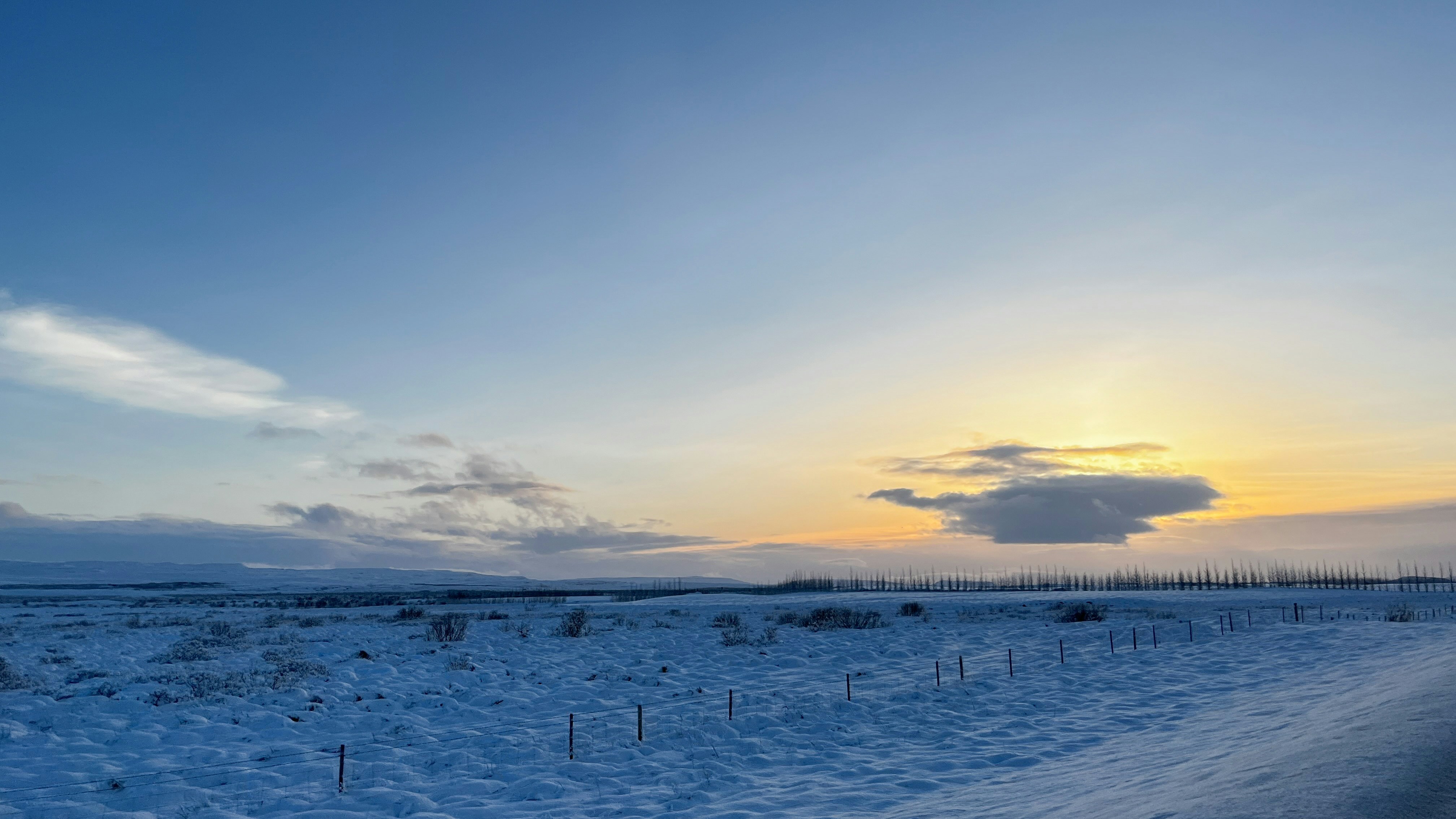 Photo by bartgriensven