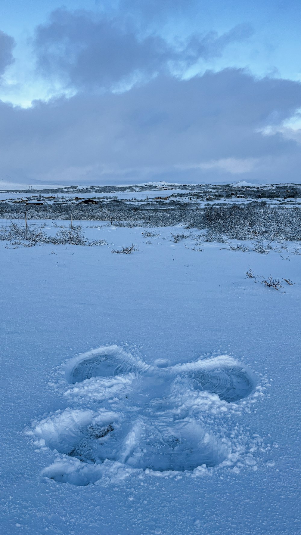a snow covered field with a small animal's footprints in the snow