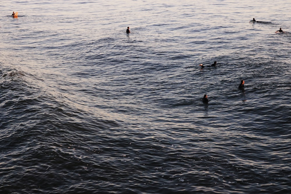 a group of people swimming in the ocean