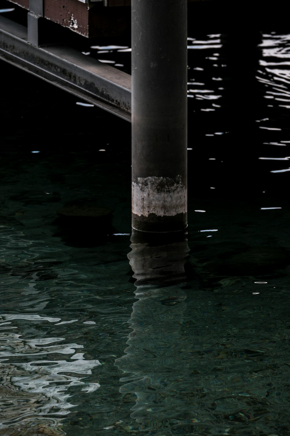 a bird is sitting on a pole in the water