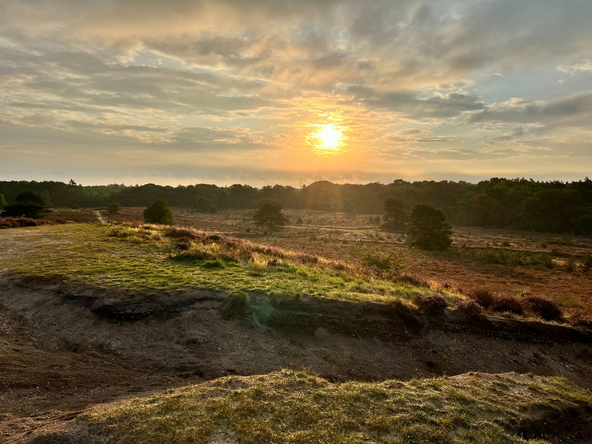 the sun is setting over a grassy field