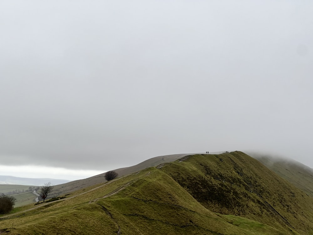 a hill covered in green grass with trees on top of it