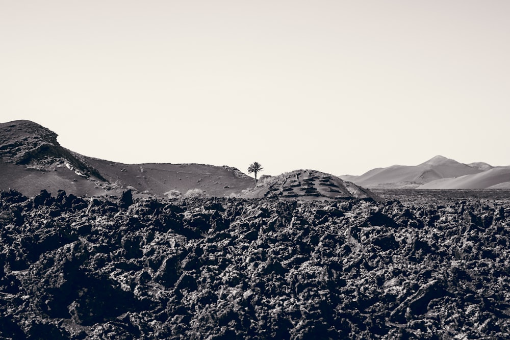 a black and white photo of a mountain range