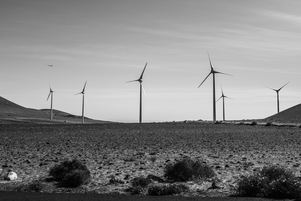 a black and white photo of a wind farm