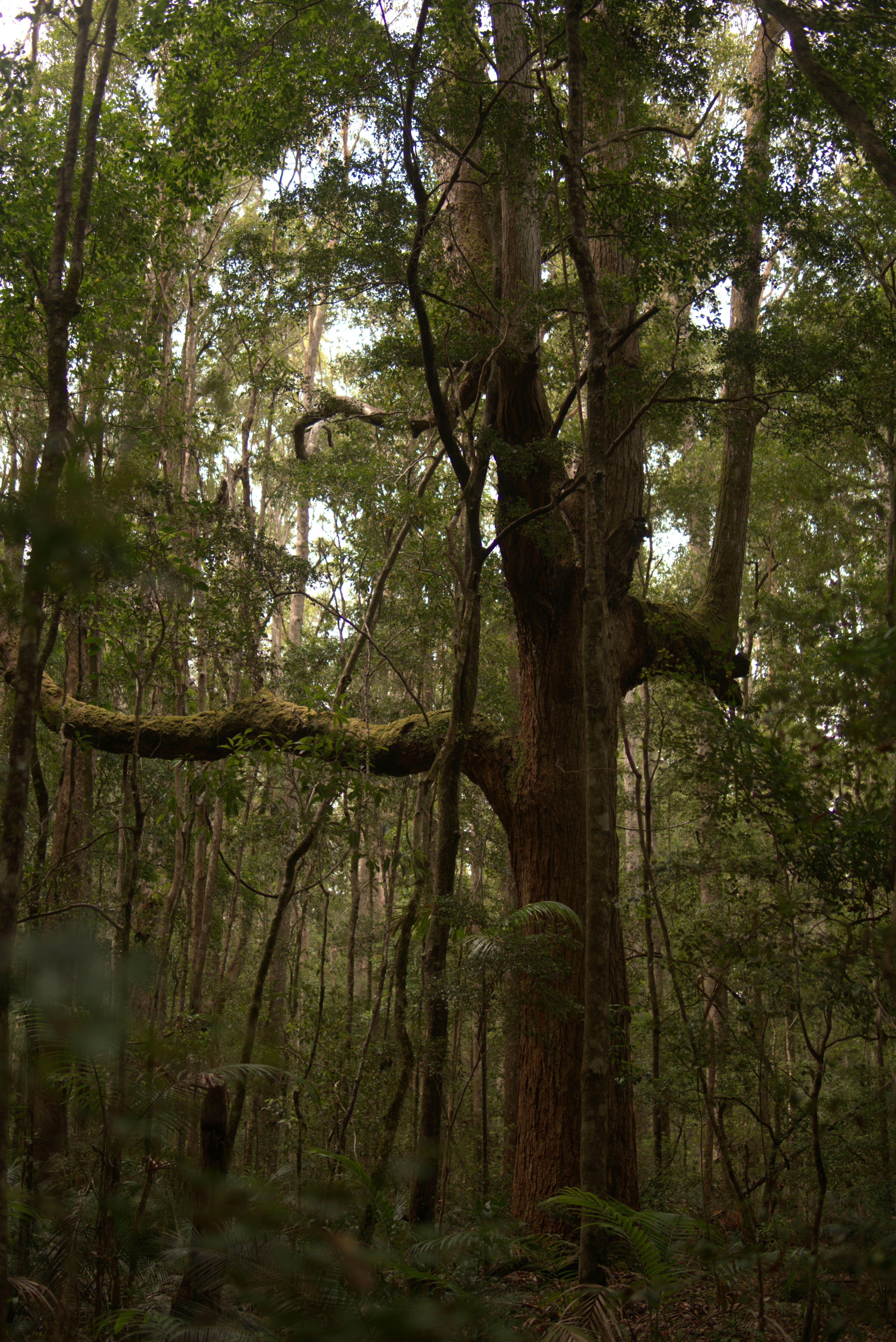 Photo by lorenzomartinlopez