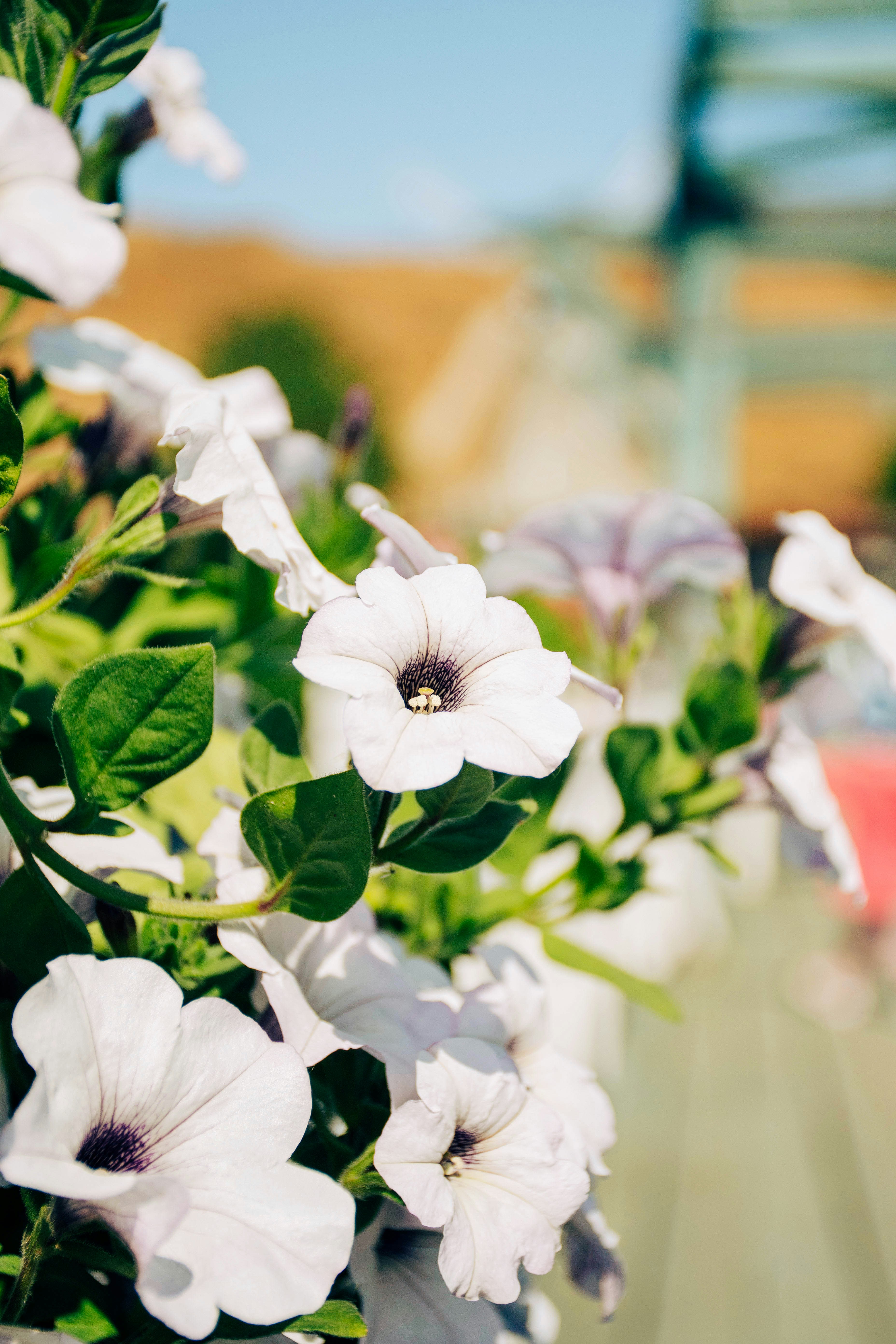 Photo by olga_trishi