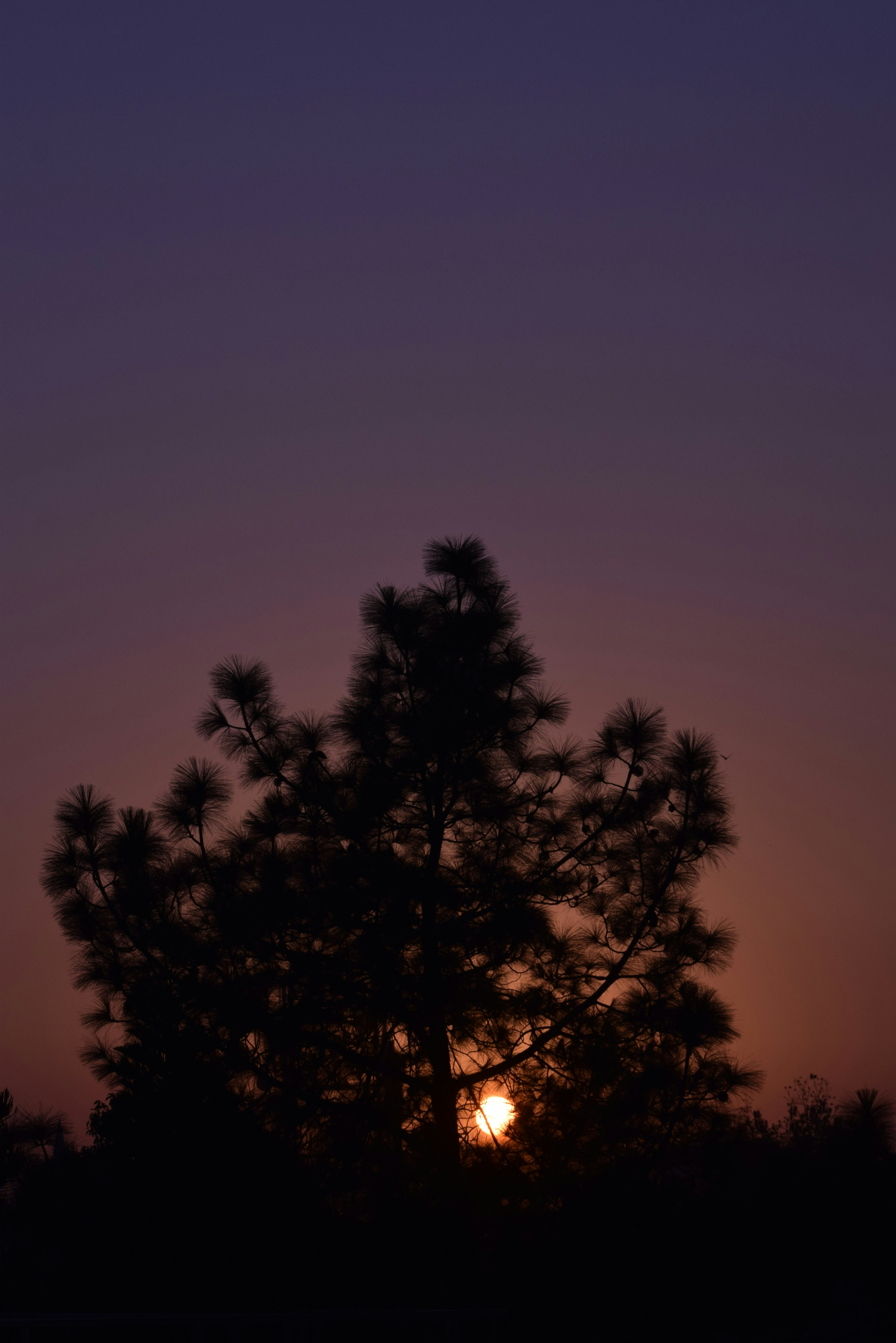 Photo by maheerakulsoom