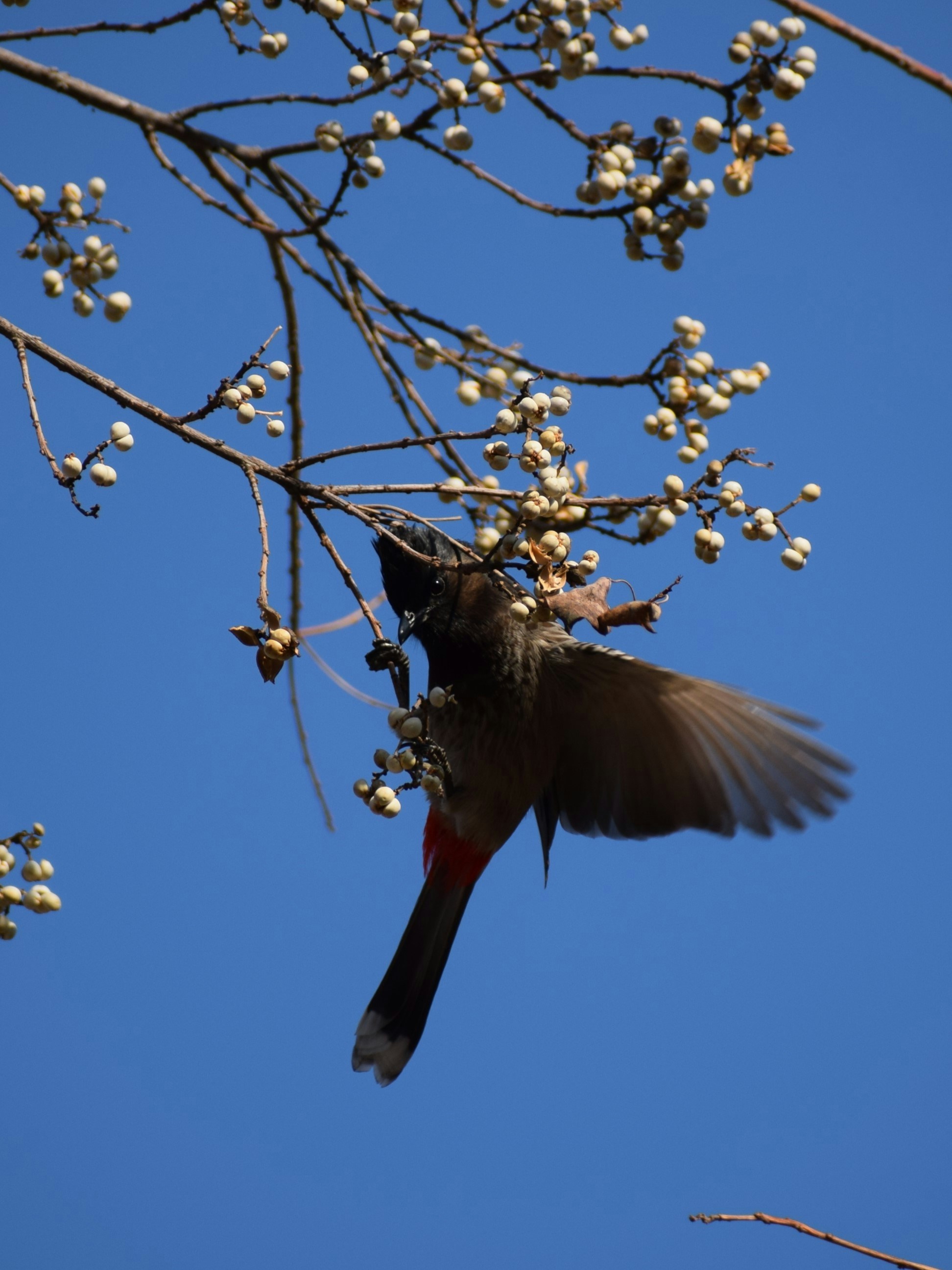 Photo by maheerakulsoom