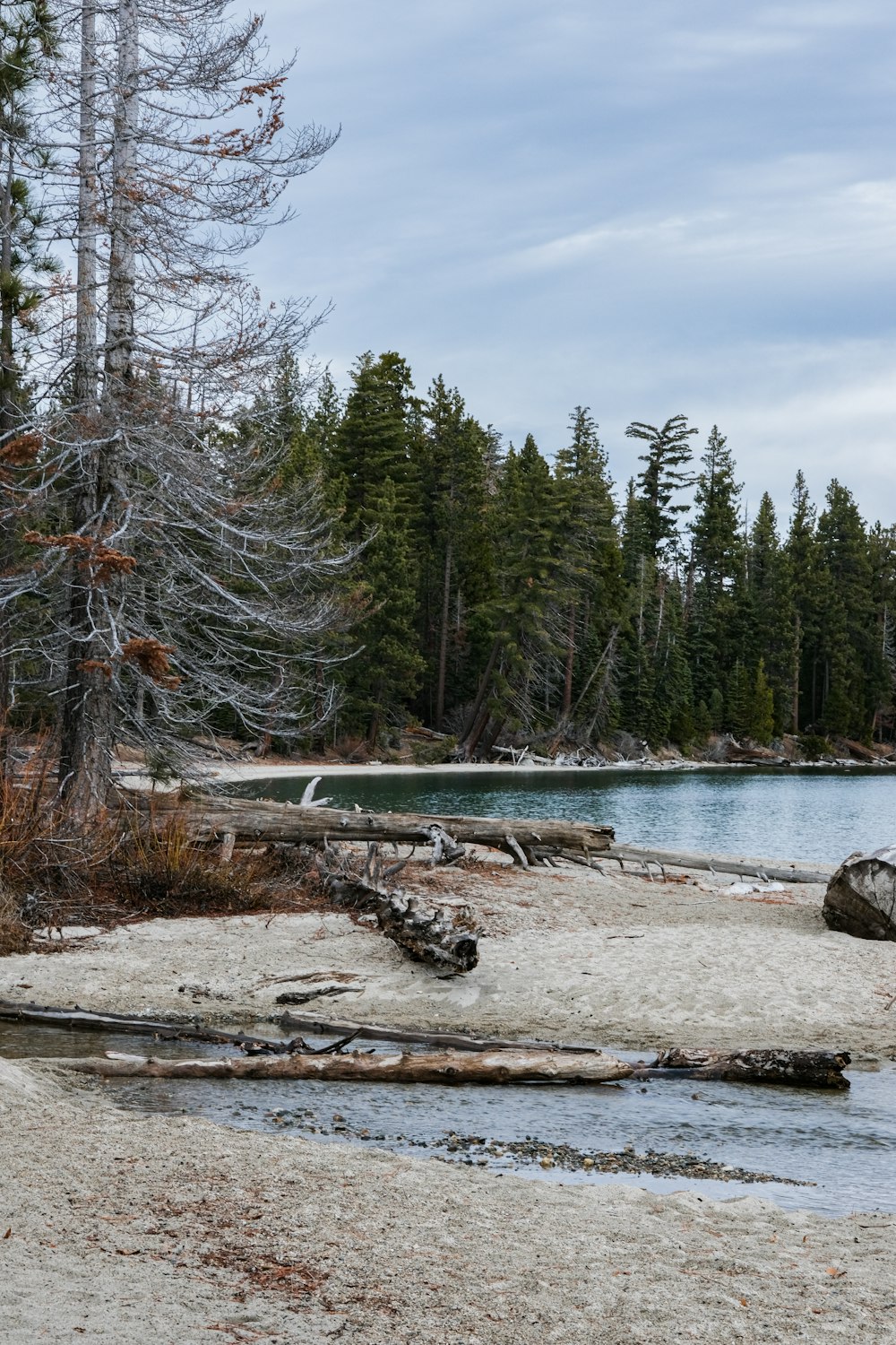 a body of water surrounded by trees and snow