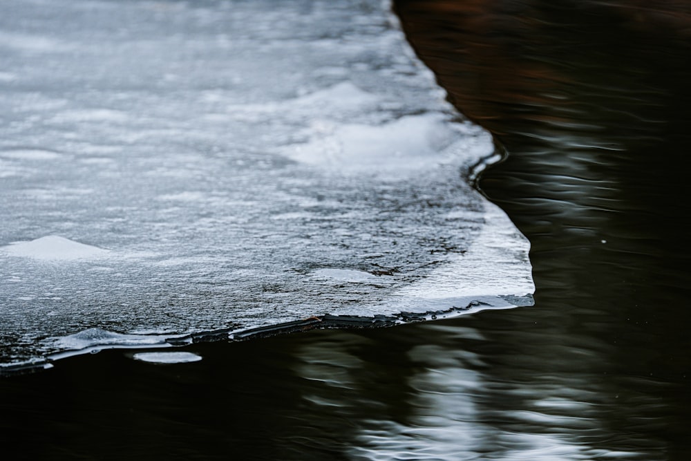Un primer plano de un témpalo de hielo en el agua