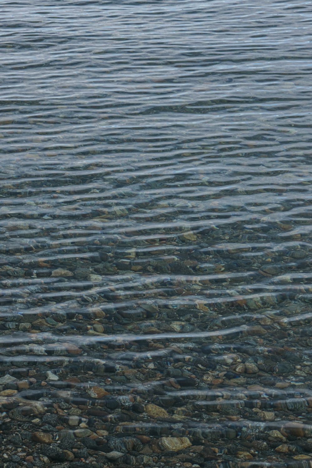 a bird is standing on the rocks by the water