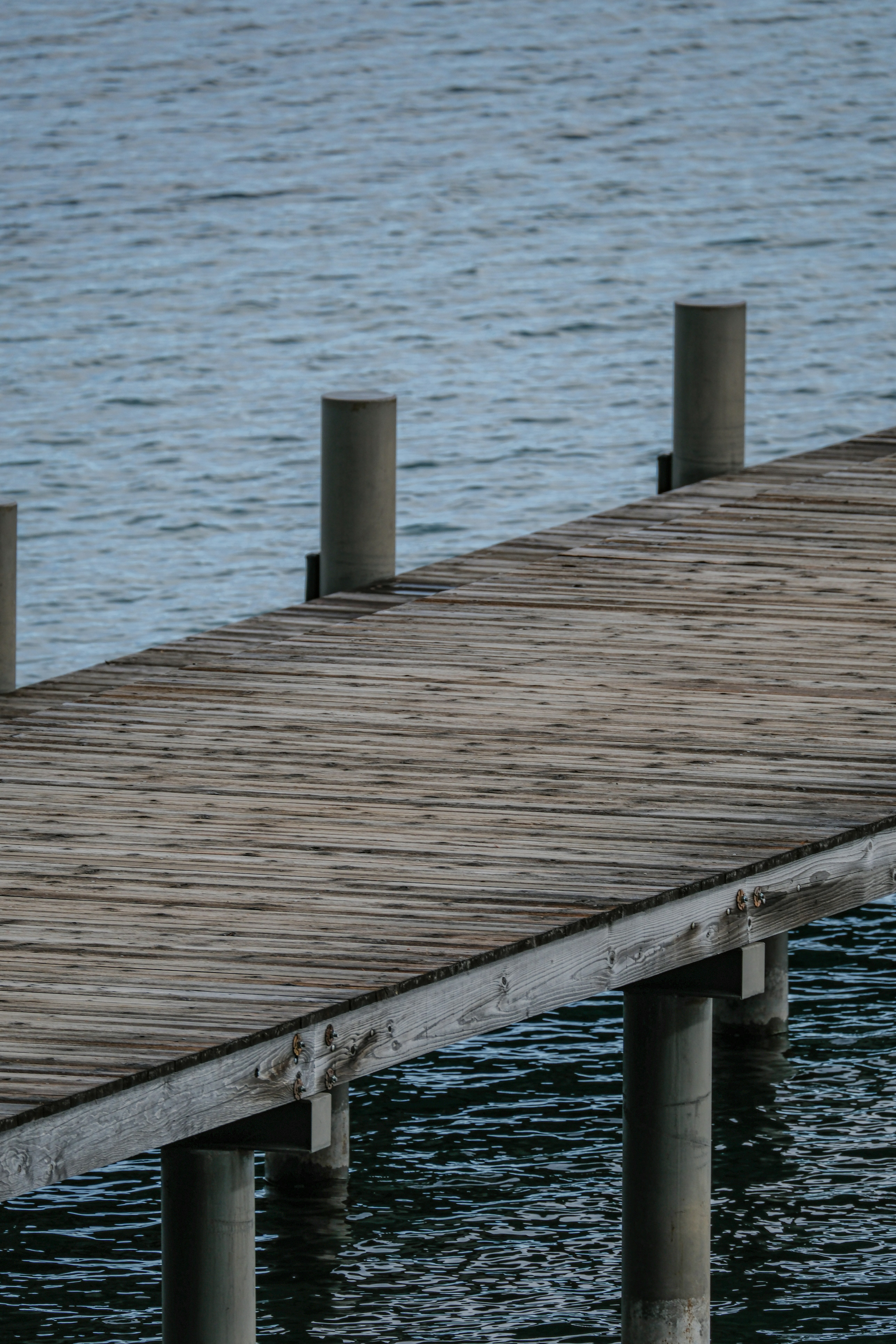 Photo by cestmoisheedy