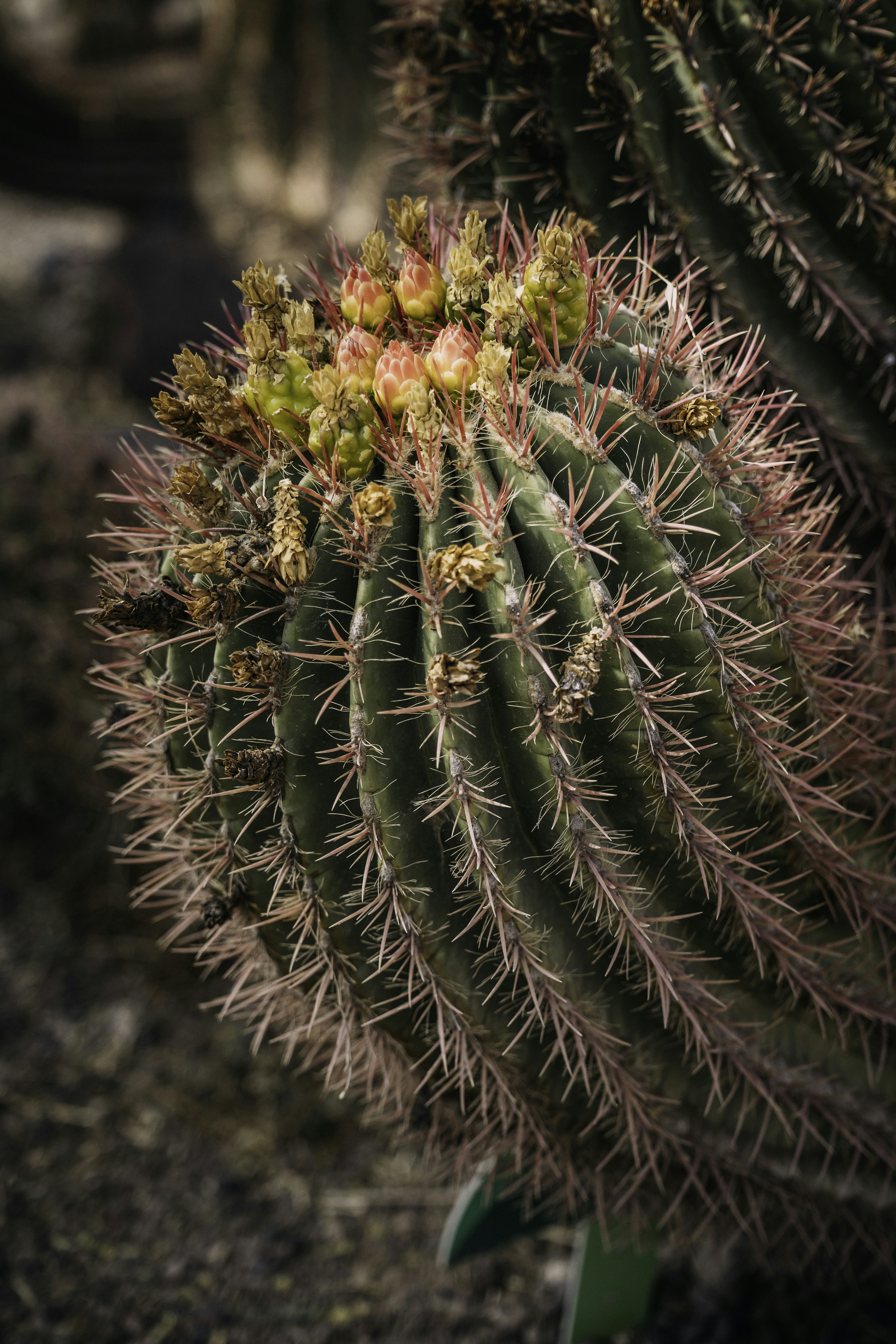 Photo by danny_rienecker