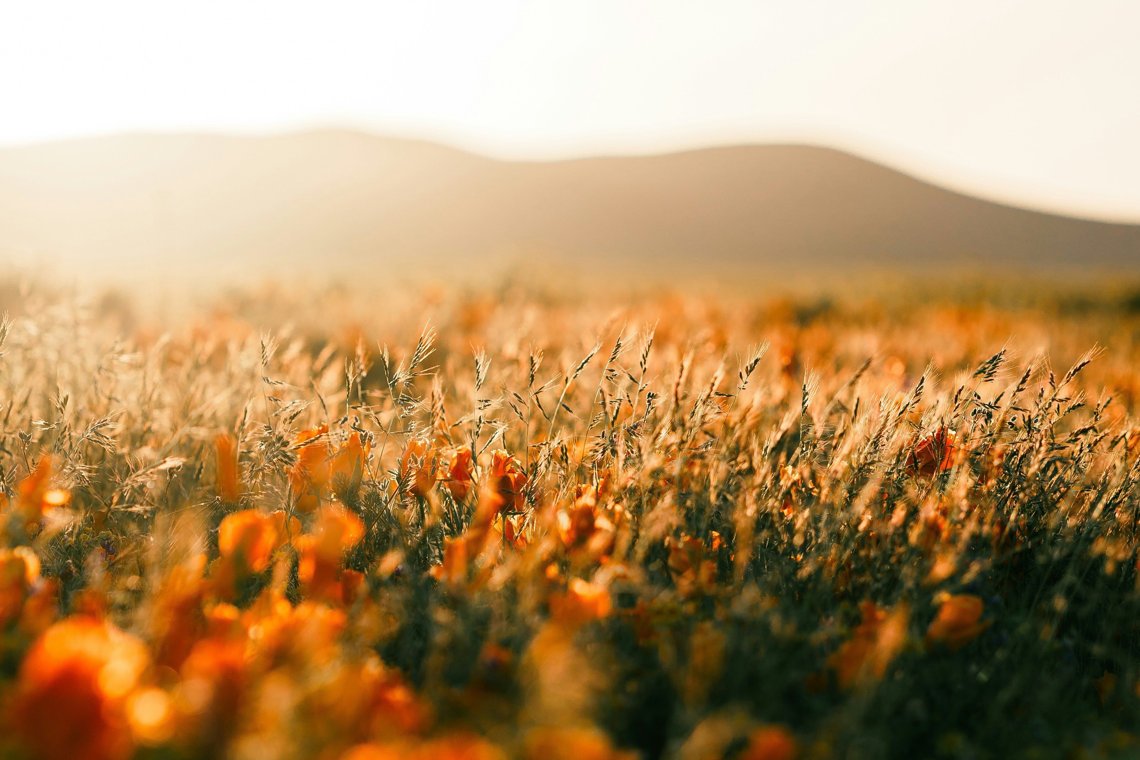 Photo by nathanmortn